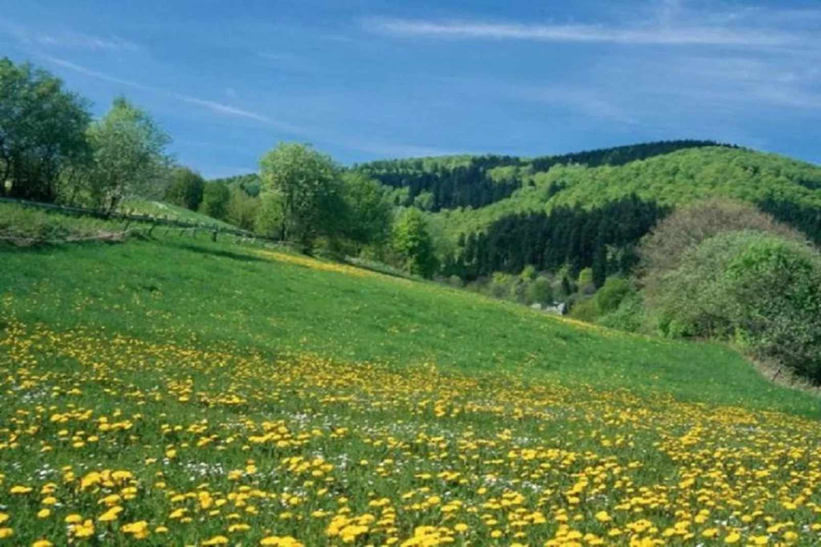 Im Ries-Gebiete Sommer 5 km