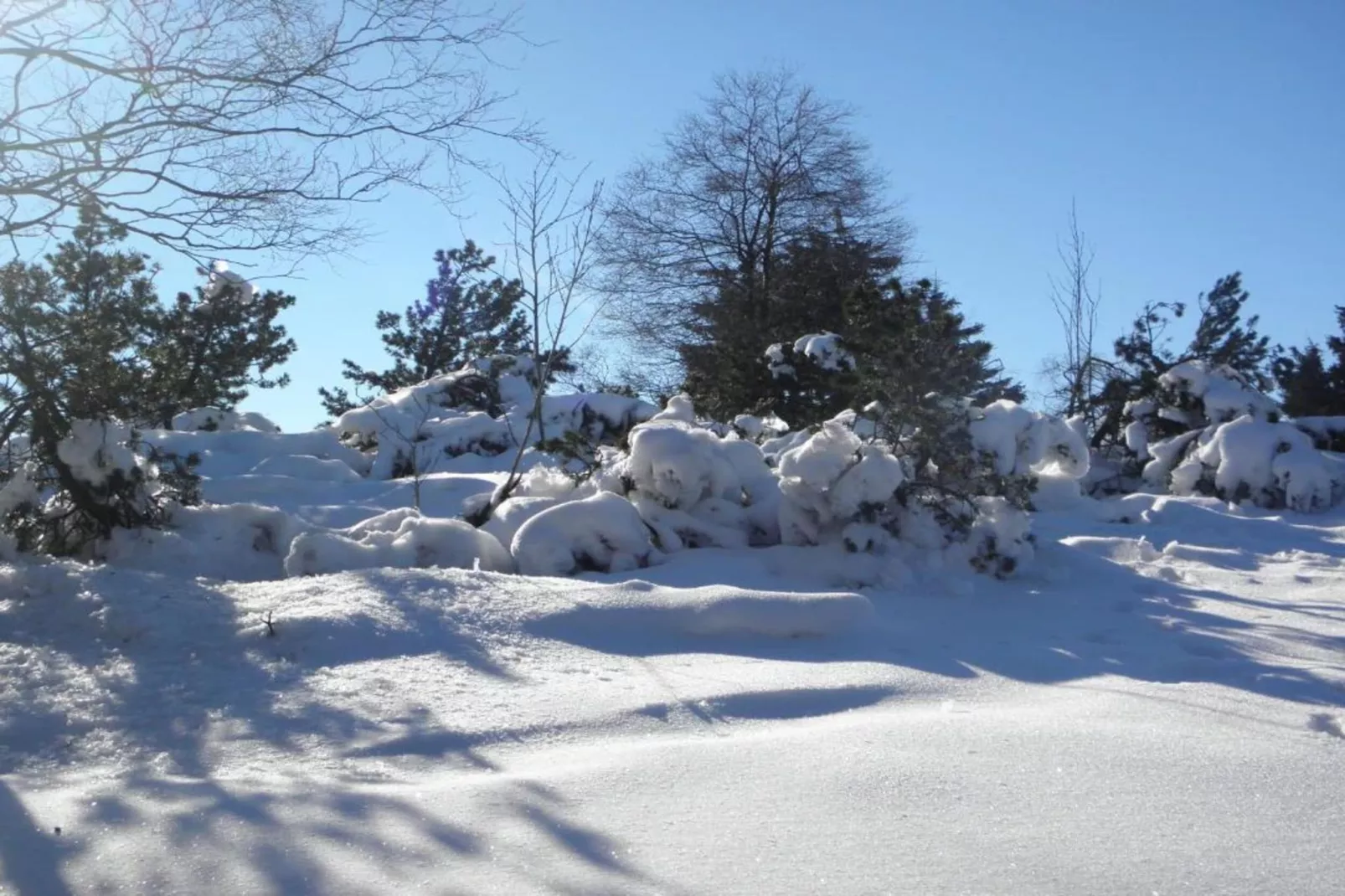 Medebach-Gebiet Winter 20 km