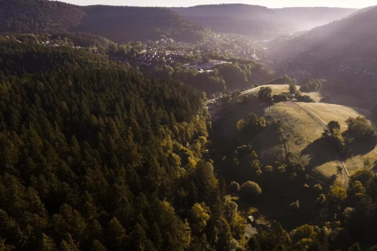 Schwarzwald-Areas within 20km in summer