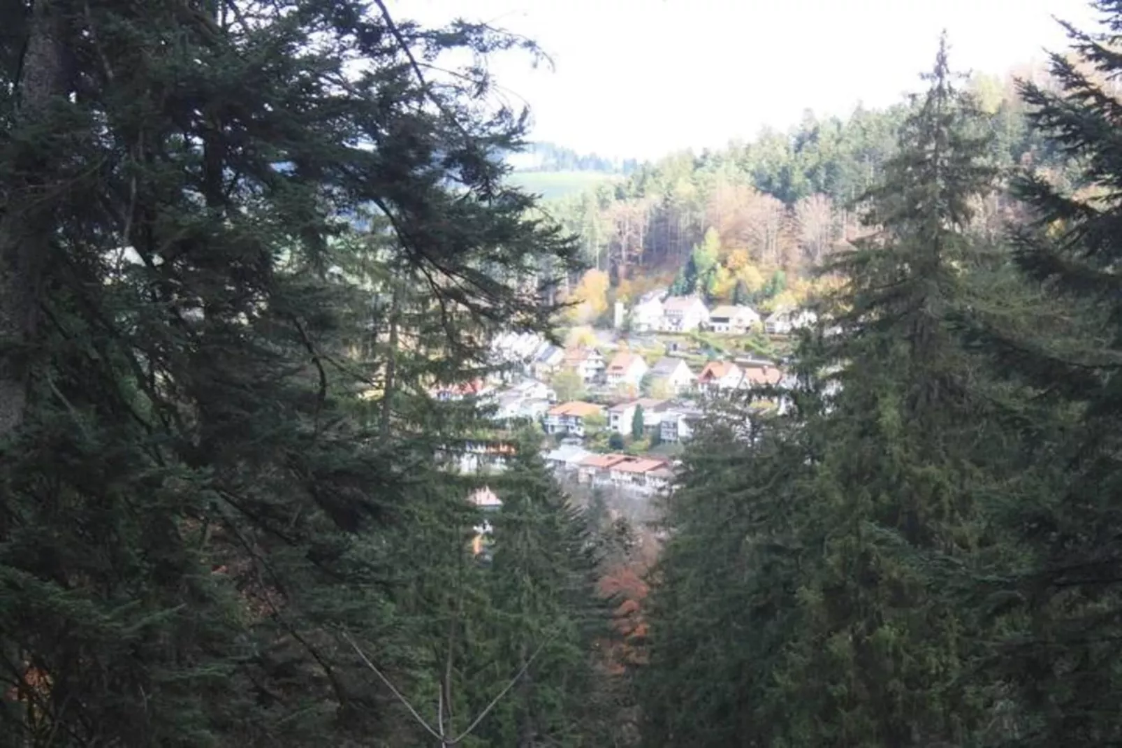 Haus Fischer-Areas within 20km in summer
