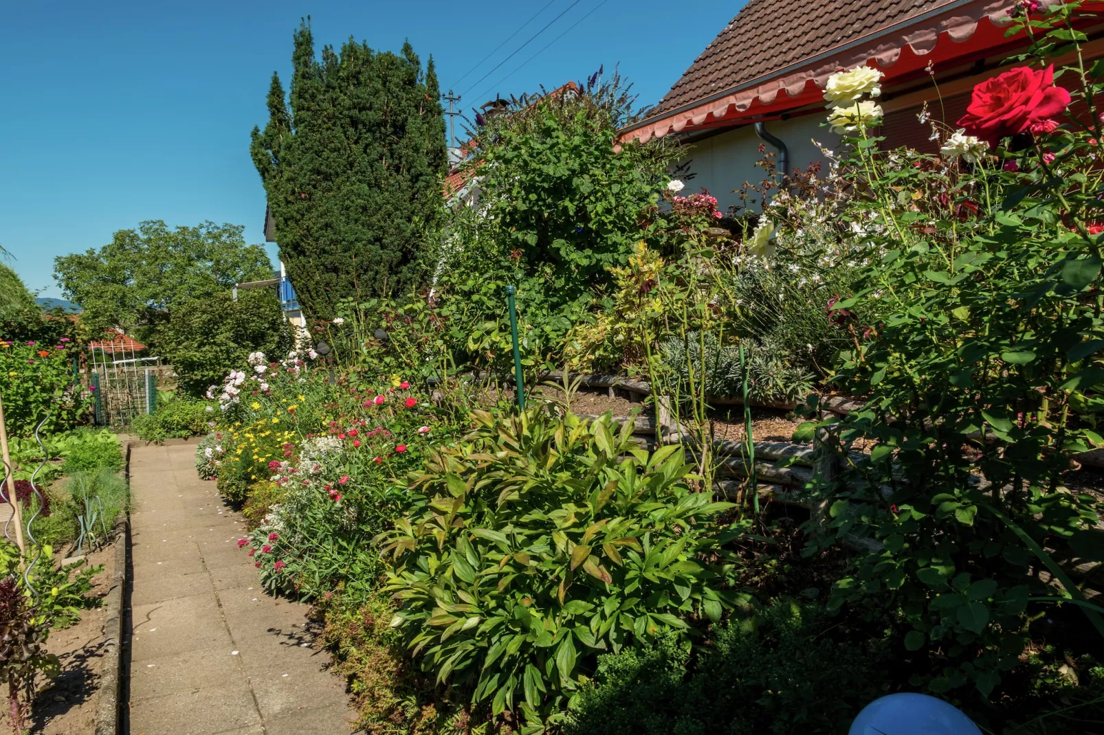 Im Kinzigtal-Gardens in summer