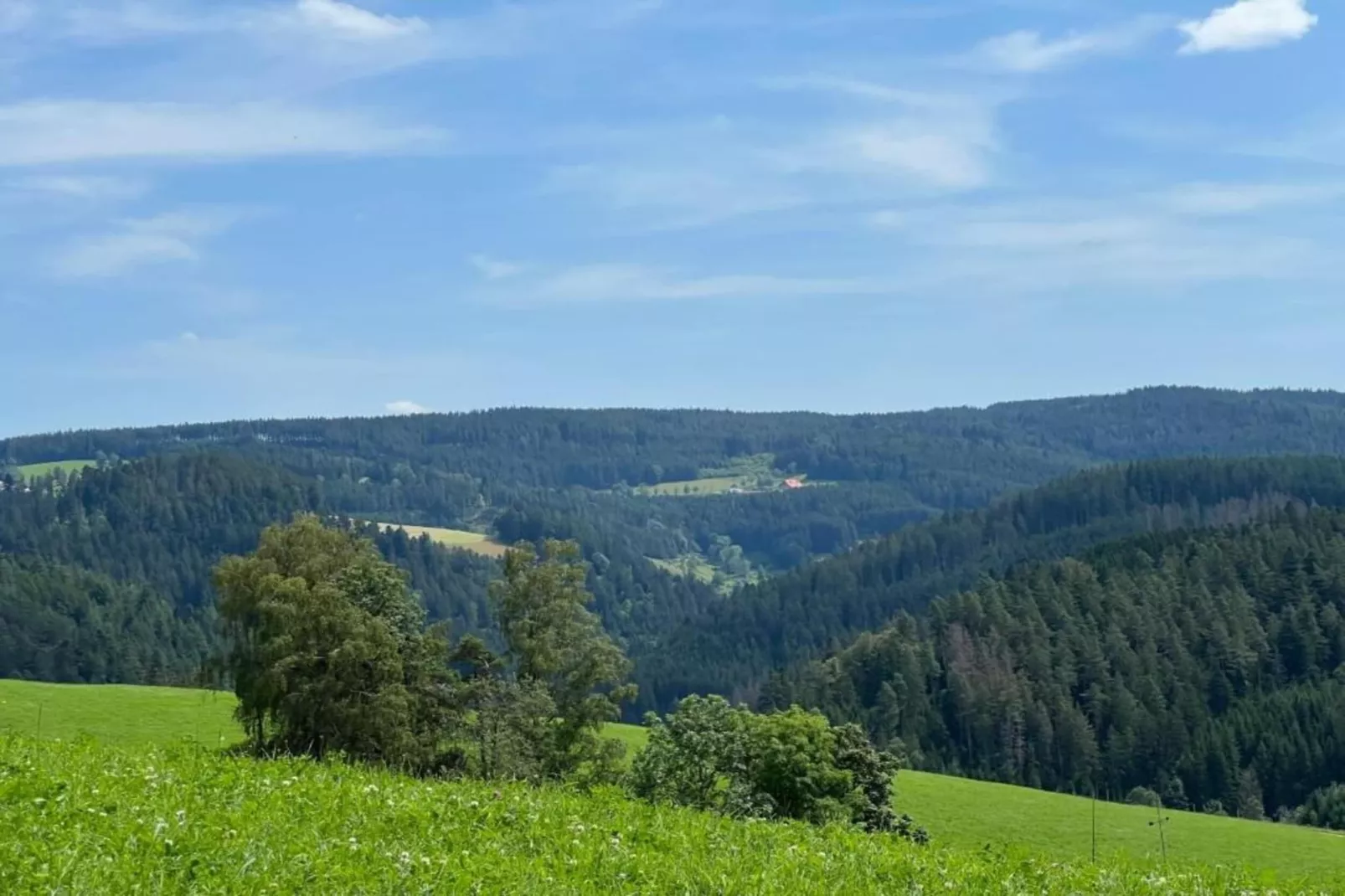 Neukirch-Areas within 20km in summer