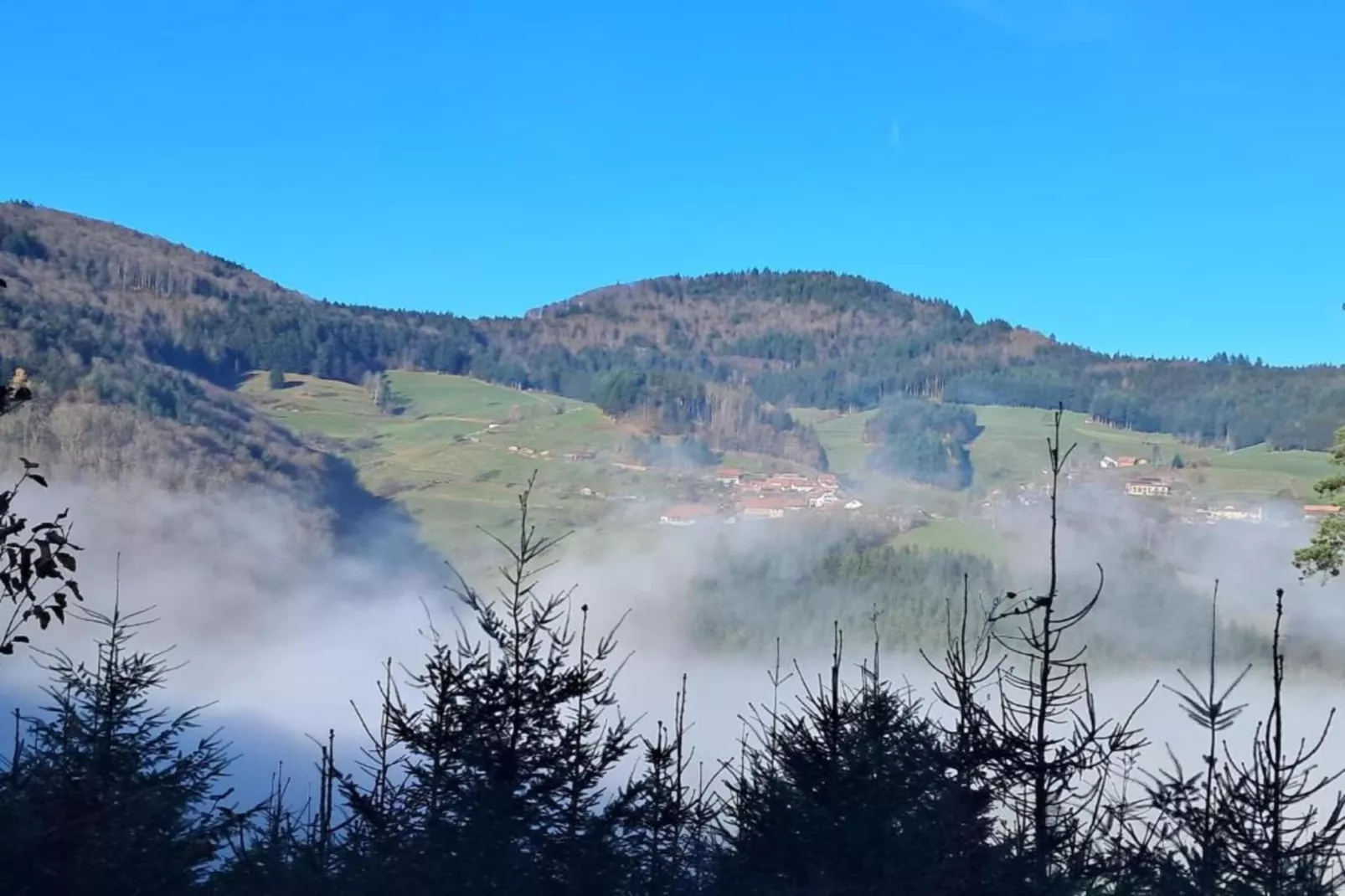 Schwarzwald-Gebiete Sommer 20 km
