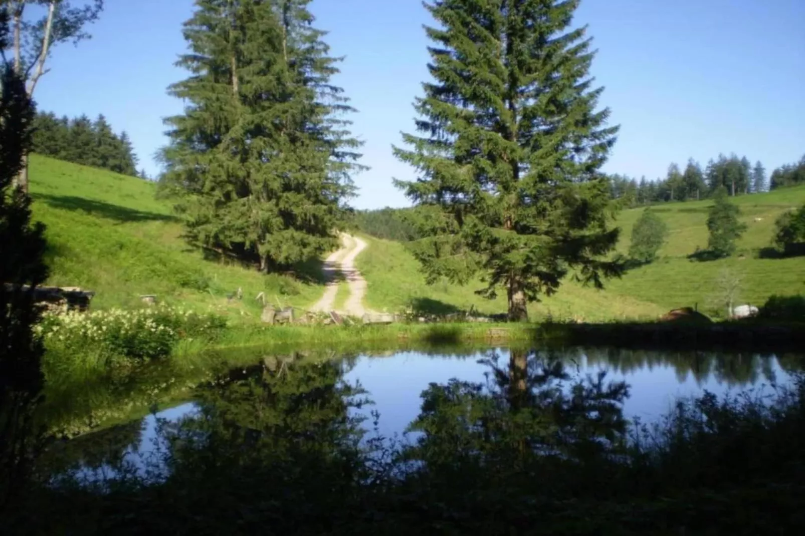 Gästehaus Hauber-Gebiete Sommer 20 km