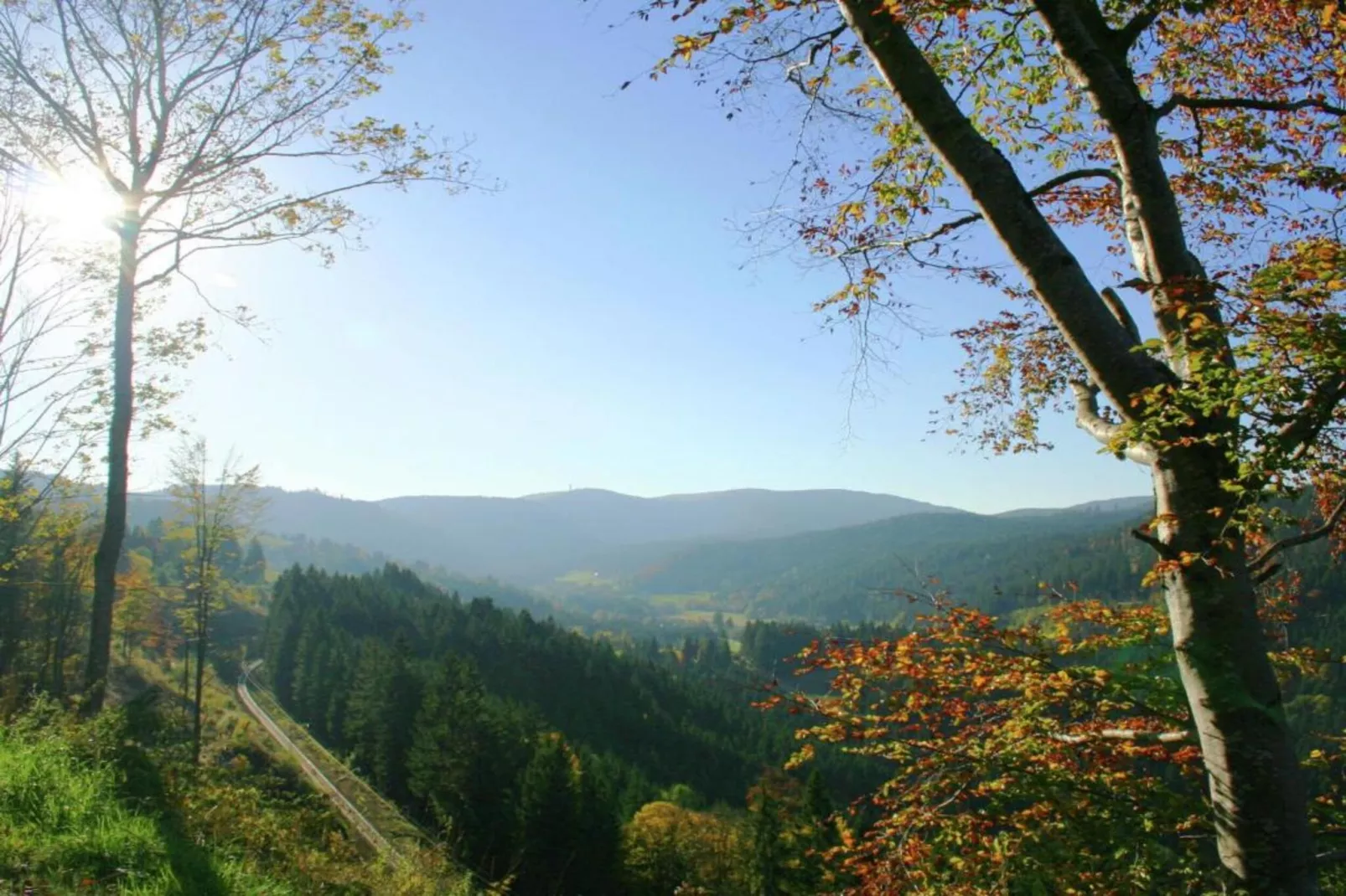 Schwarzwaldhaus Pferdeklause-Areas within 20km in summer
