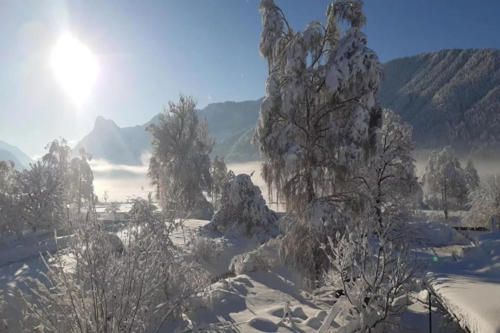 Sonnenblume-Area within 20km in winter