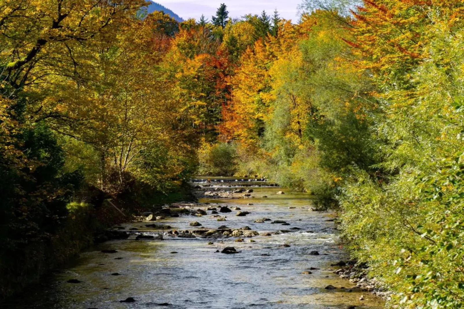 Im Chiemgau-Areas within 20km in summer