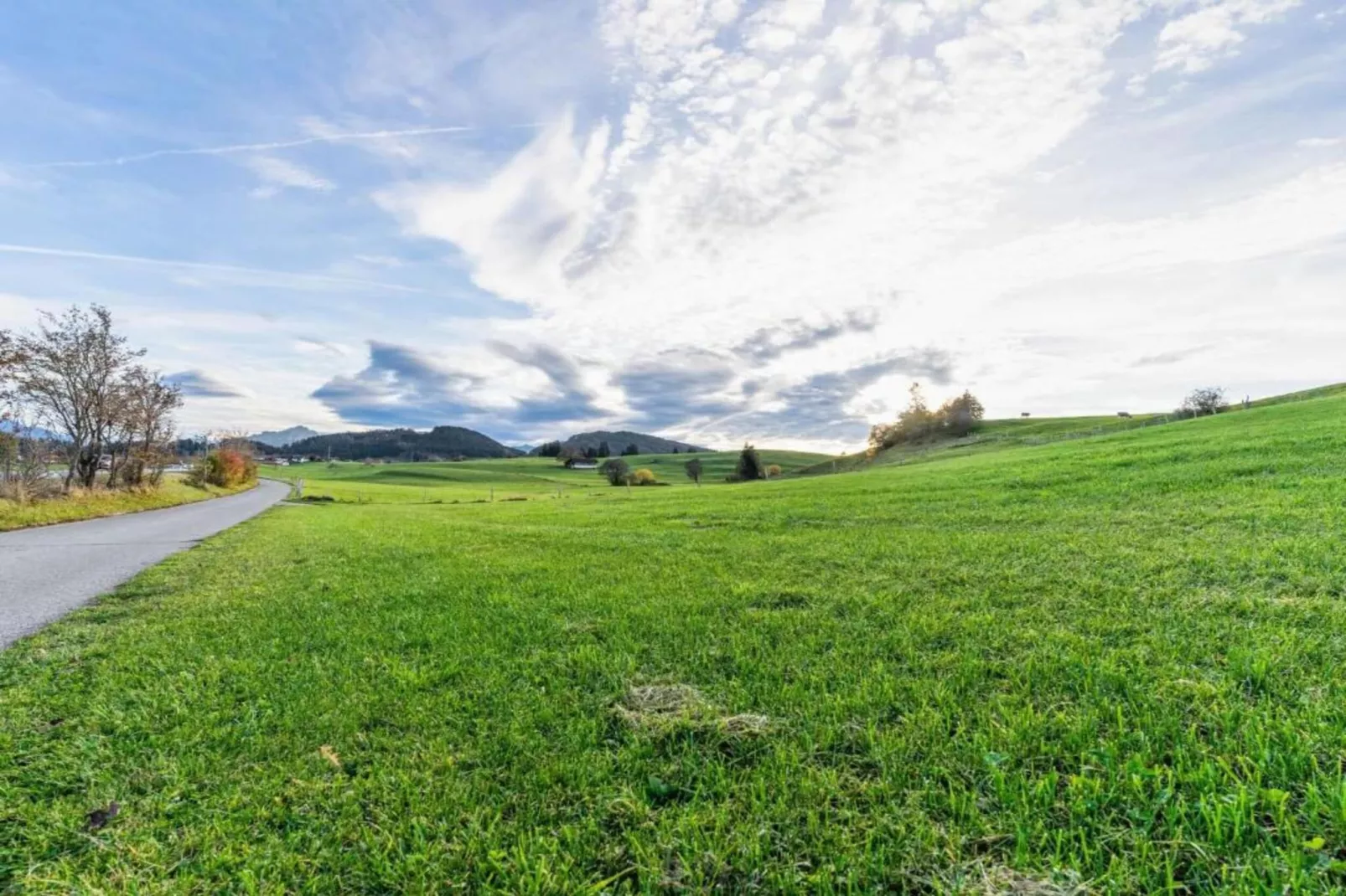 Alpenblick-Areas within 20km in summer
