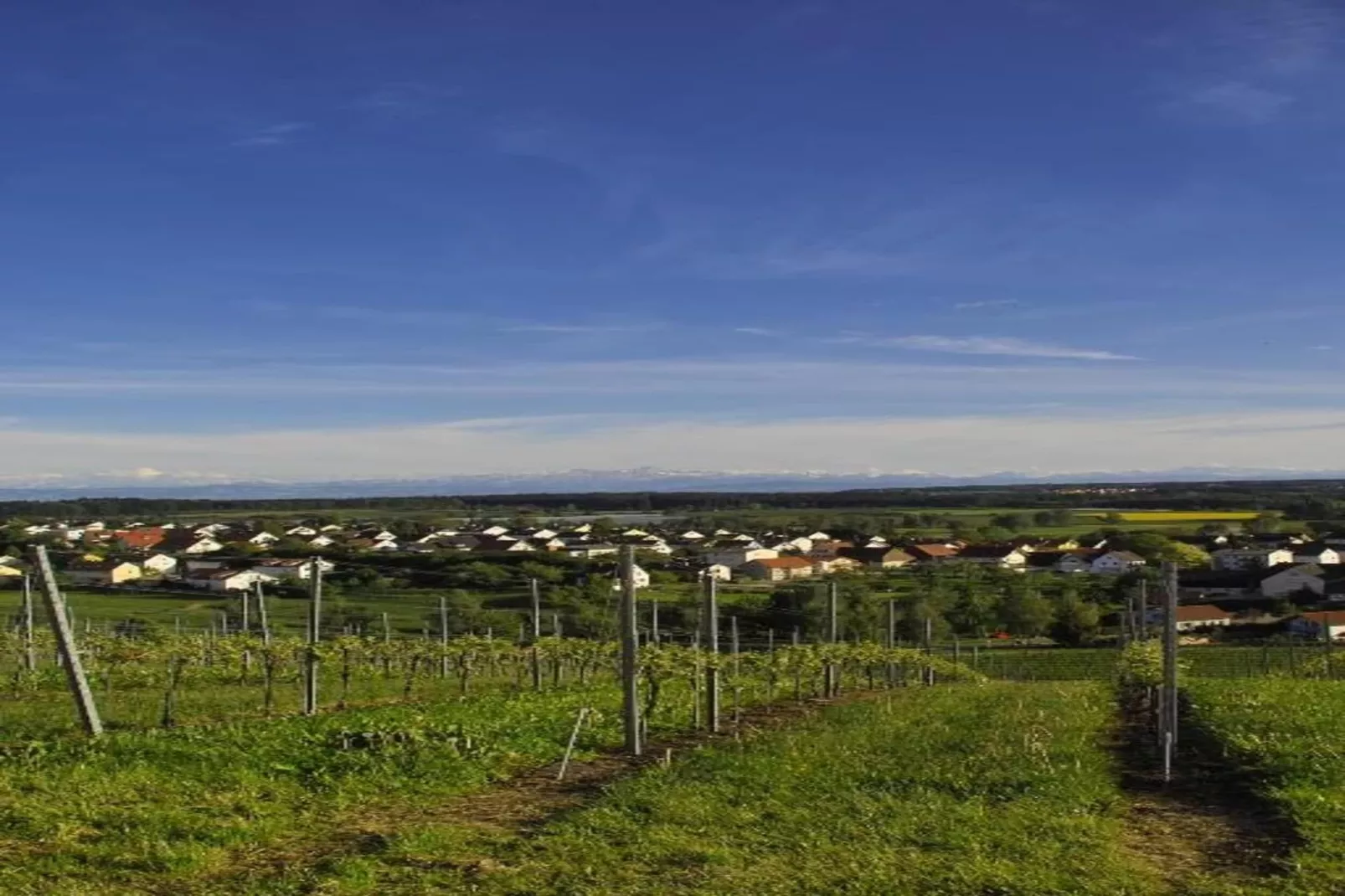 Markdorf-Areas within 20km in summer