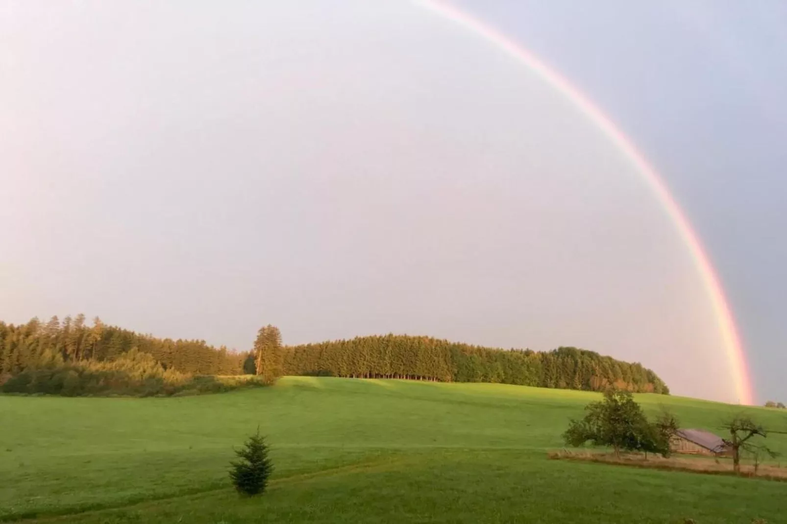 Ferien im Oberallgäu-Areas within 20km in summer