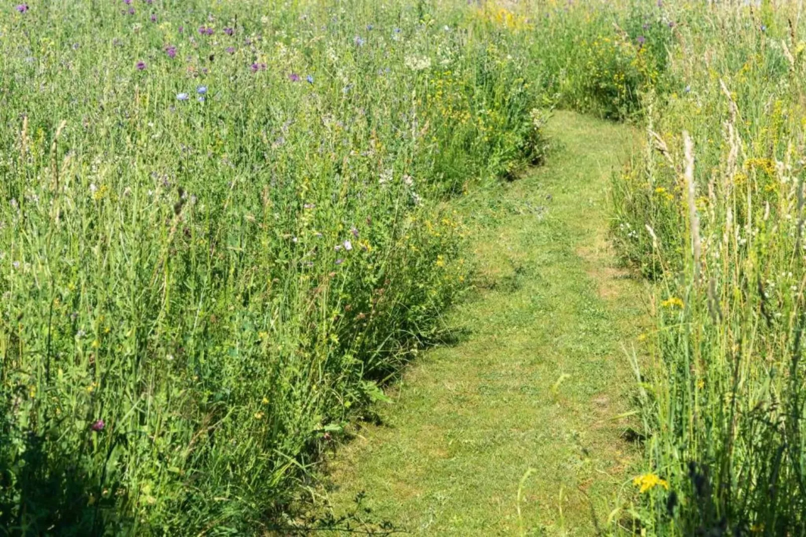 Bodenwöhr-Areas within 5km in summer