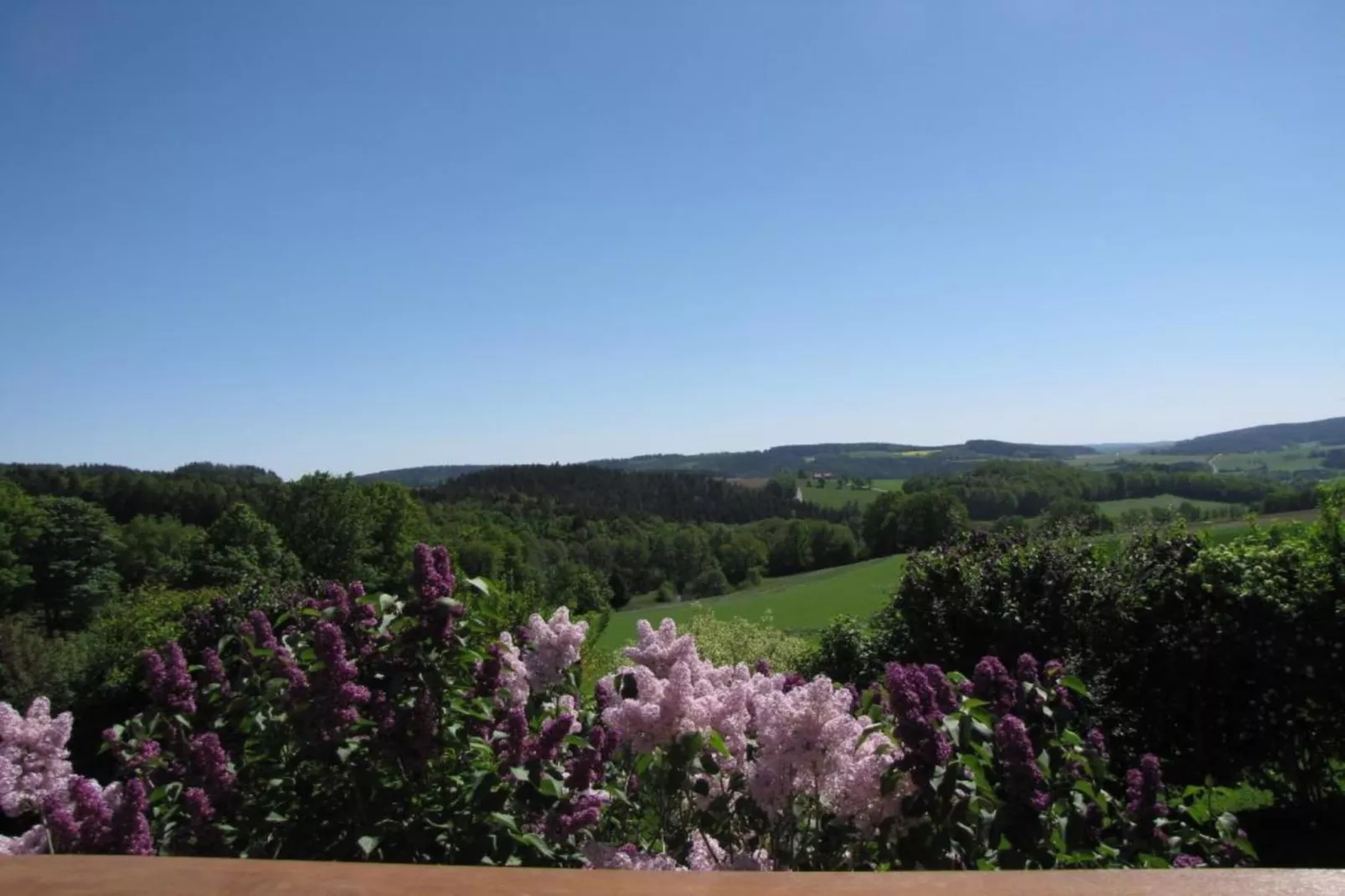 Morgensonne-Areas within 20km in summer