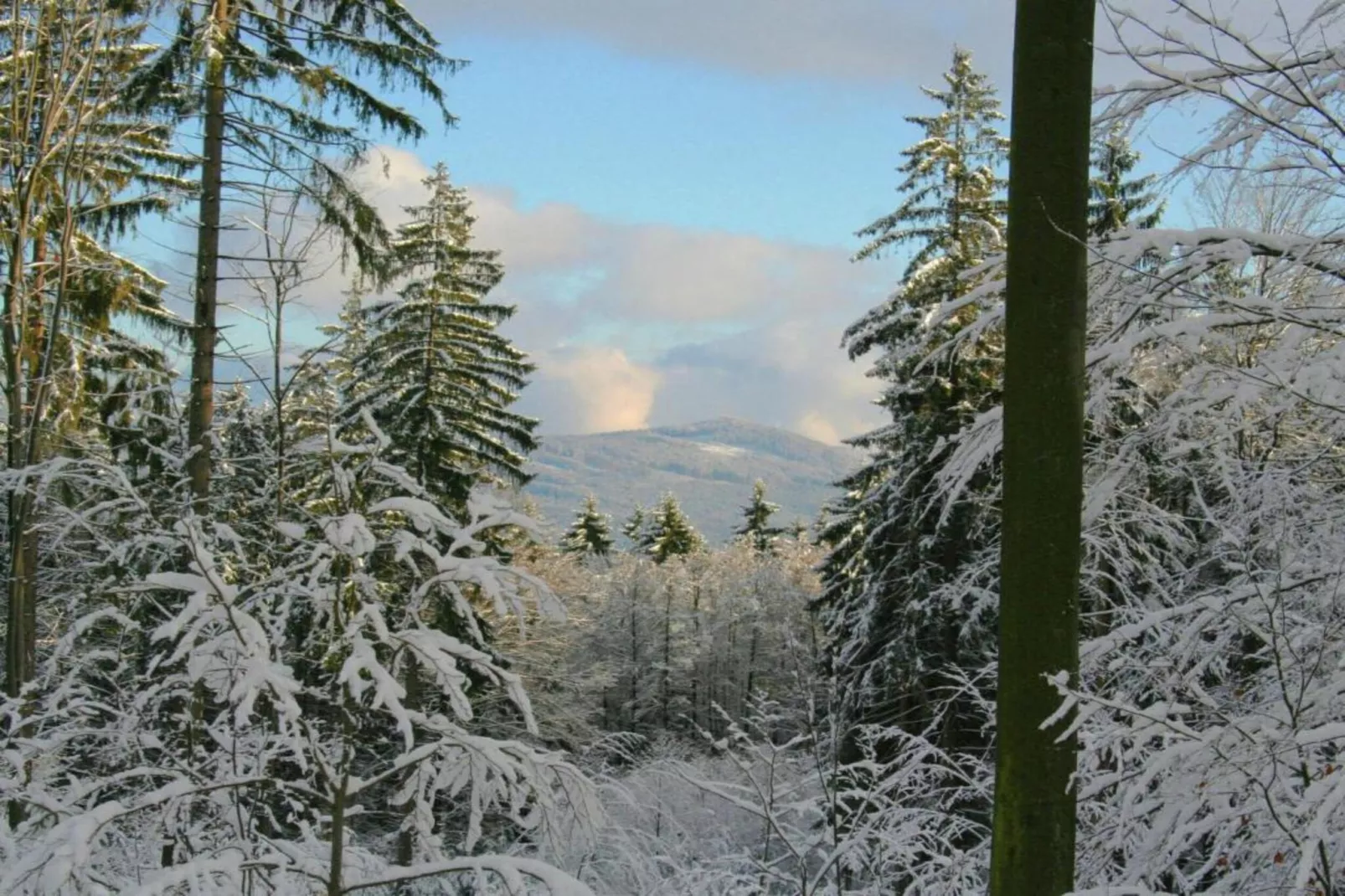 Schloßbergblick-Areas within 20km in summer