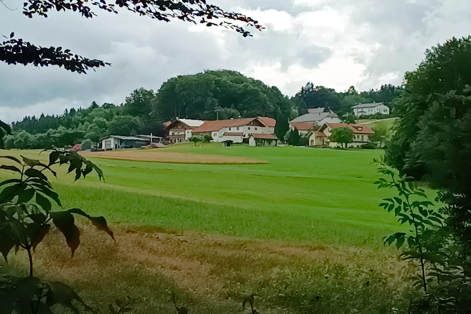 Holecek-View in summer