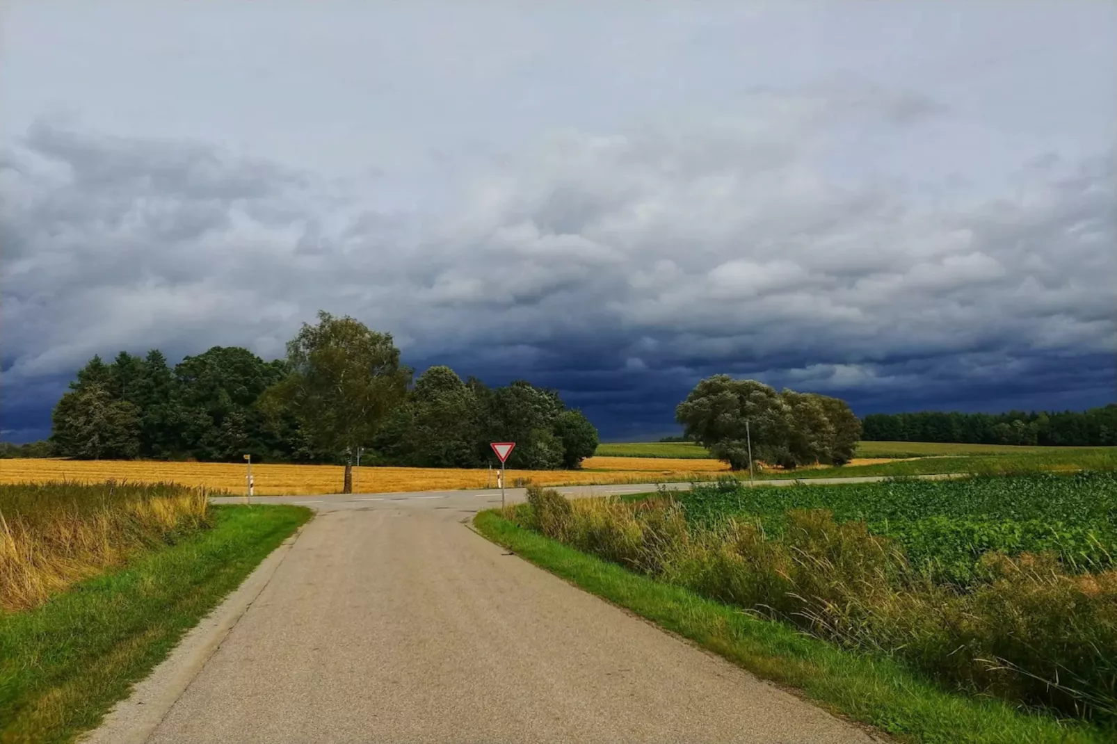Am Ferienhof-Gebiete Sommer 5 km