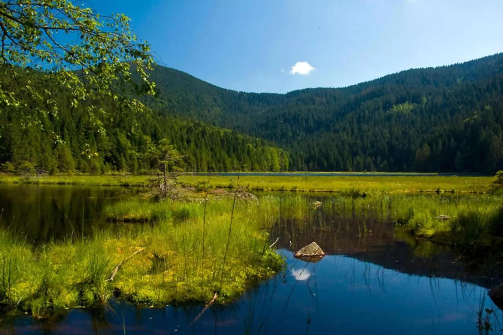 Im Bayerischen Wald-Areas within 20km in summer
