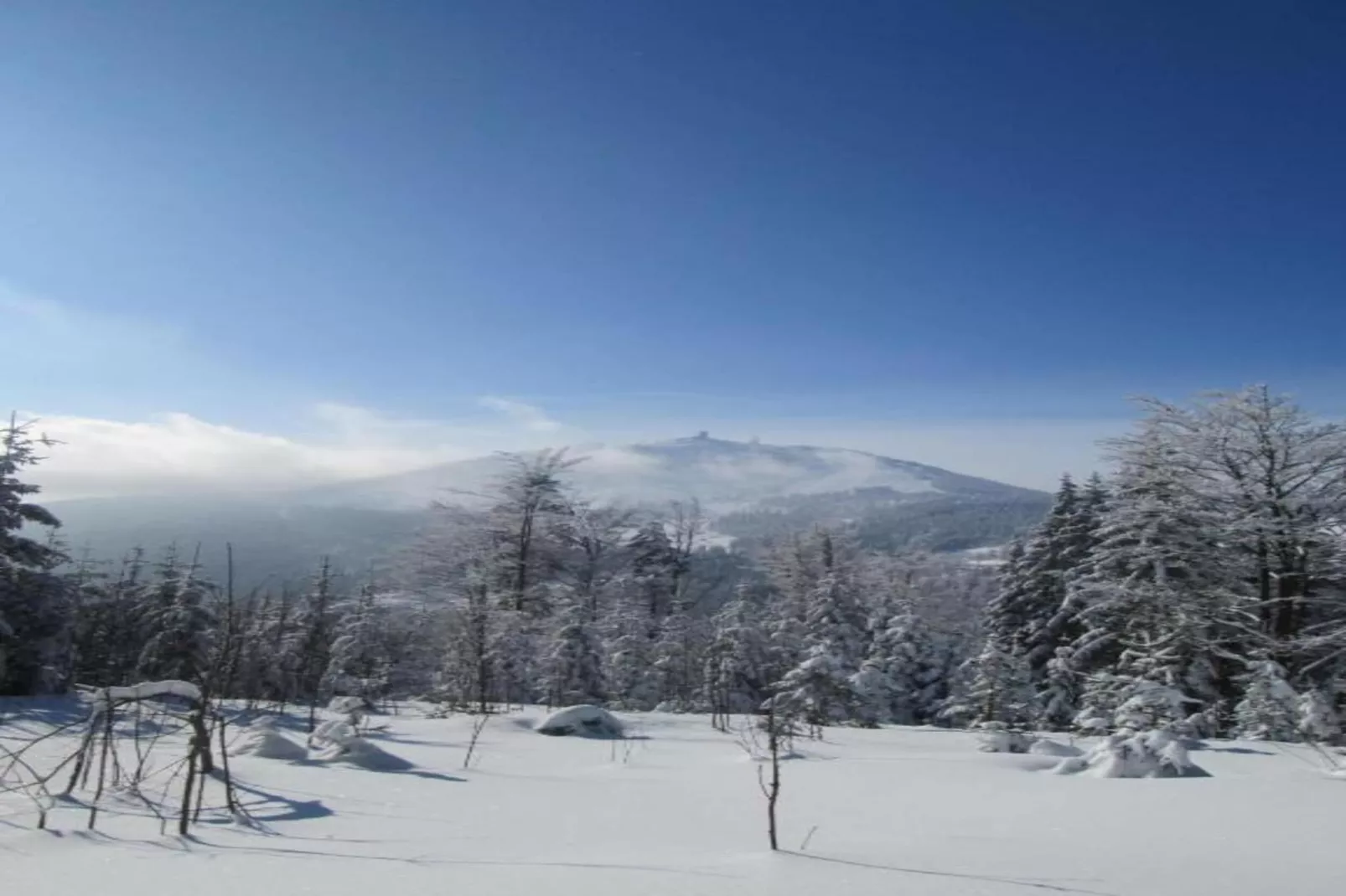 Kreut-Area within 20km in winter
