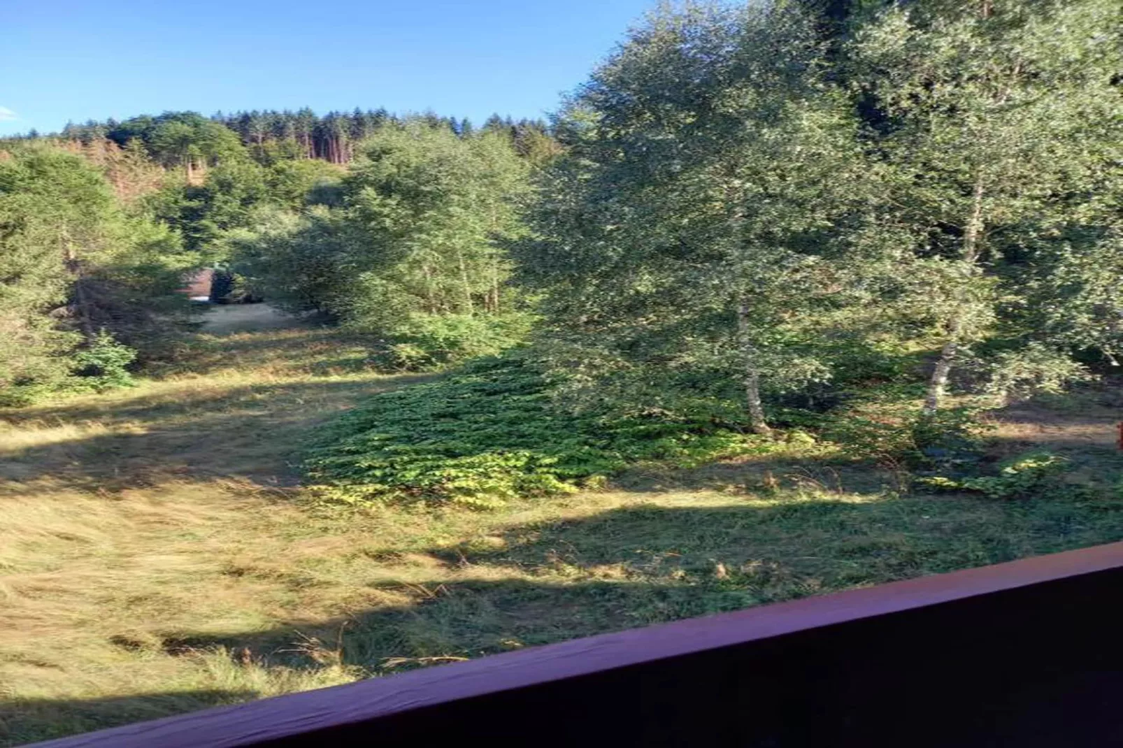 Waldblick-Gebiete Sommer 20 km