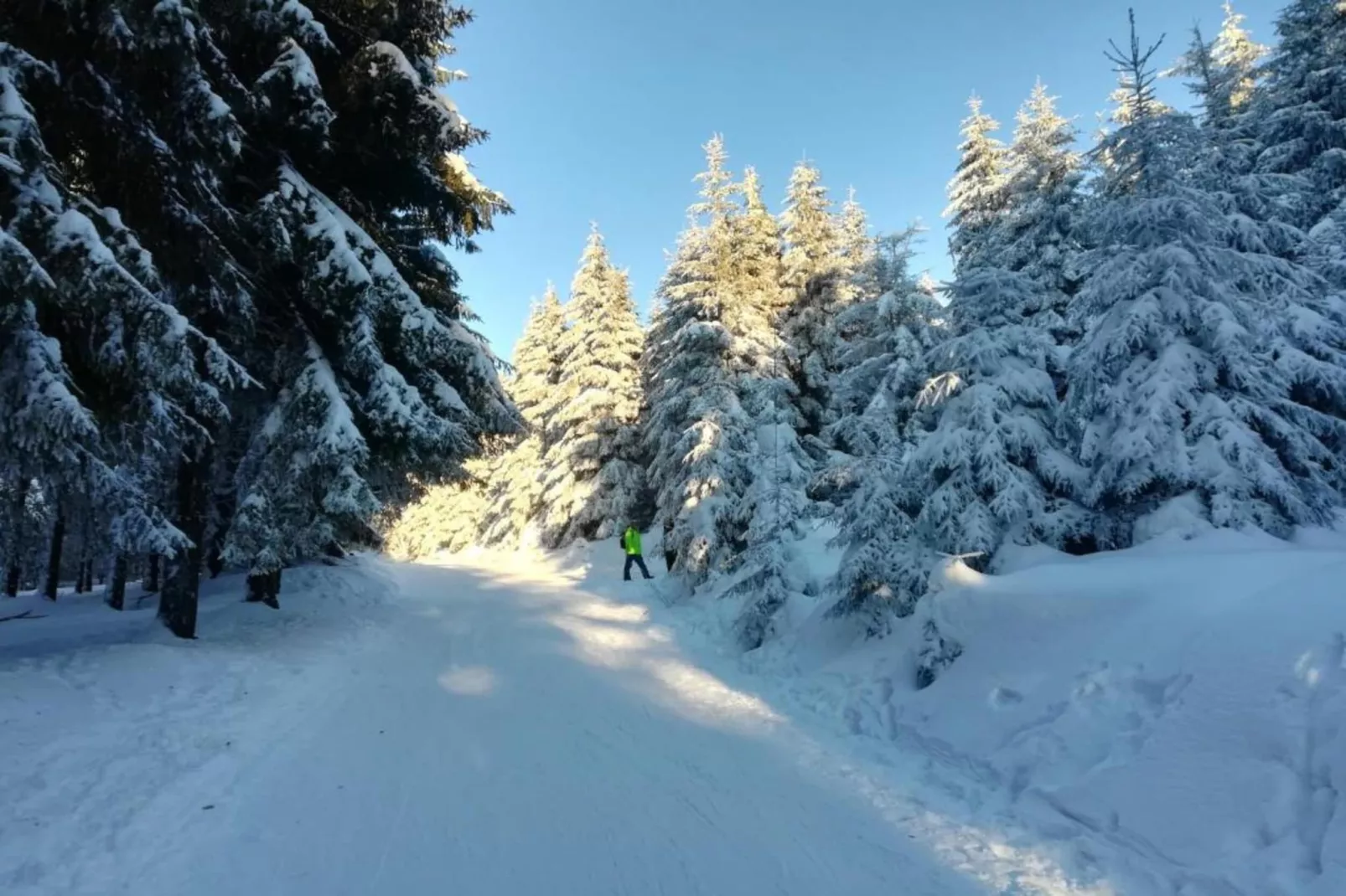 Serene Stay with Garden-Area within 5km in winter