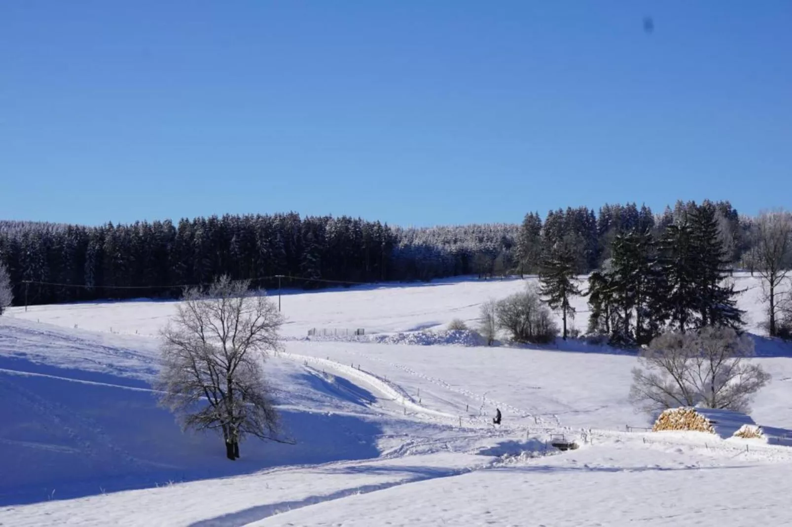 Ferienhaus im Thüringer Wald-Area within 5km in winter