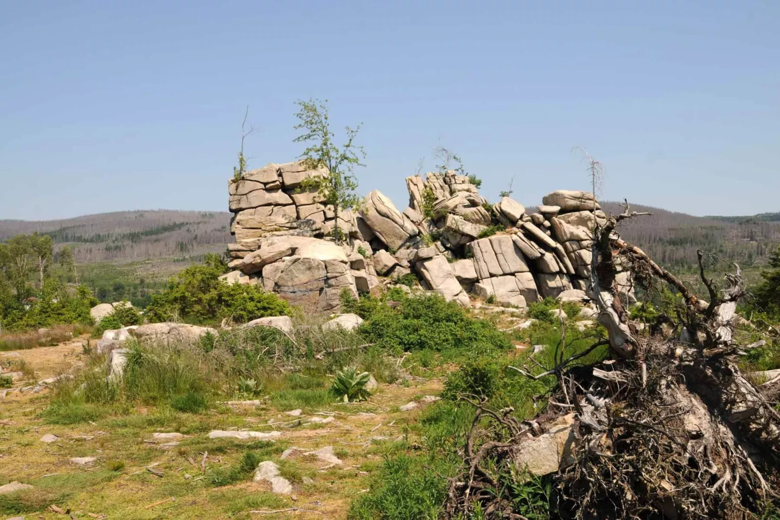 ExclusivLodge - 6 Pers-Gebiete Sommer 5 km