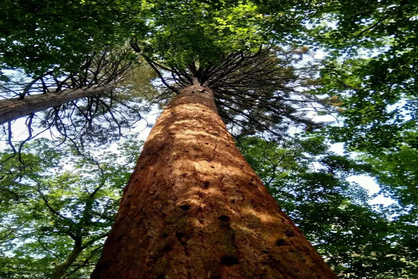 Chalet - 2 Personen-Areas within 5km in summer