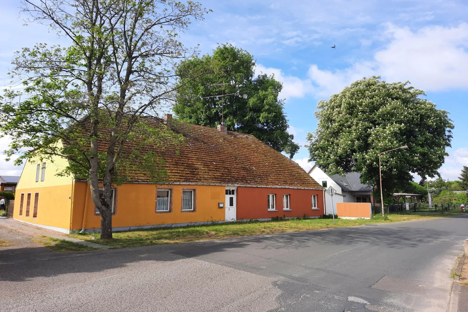 Bungalow 5  Malchow-Areas within 1km in summer