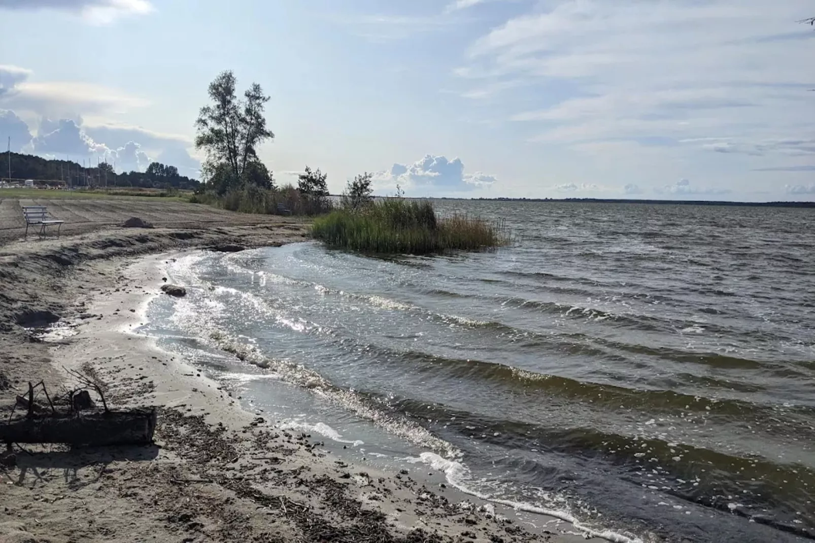 Seeschwalbe 55-Areas within 1km in summer