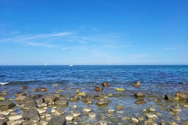 Post Hiddensee-Wohnung 18-Zones été à 5 km