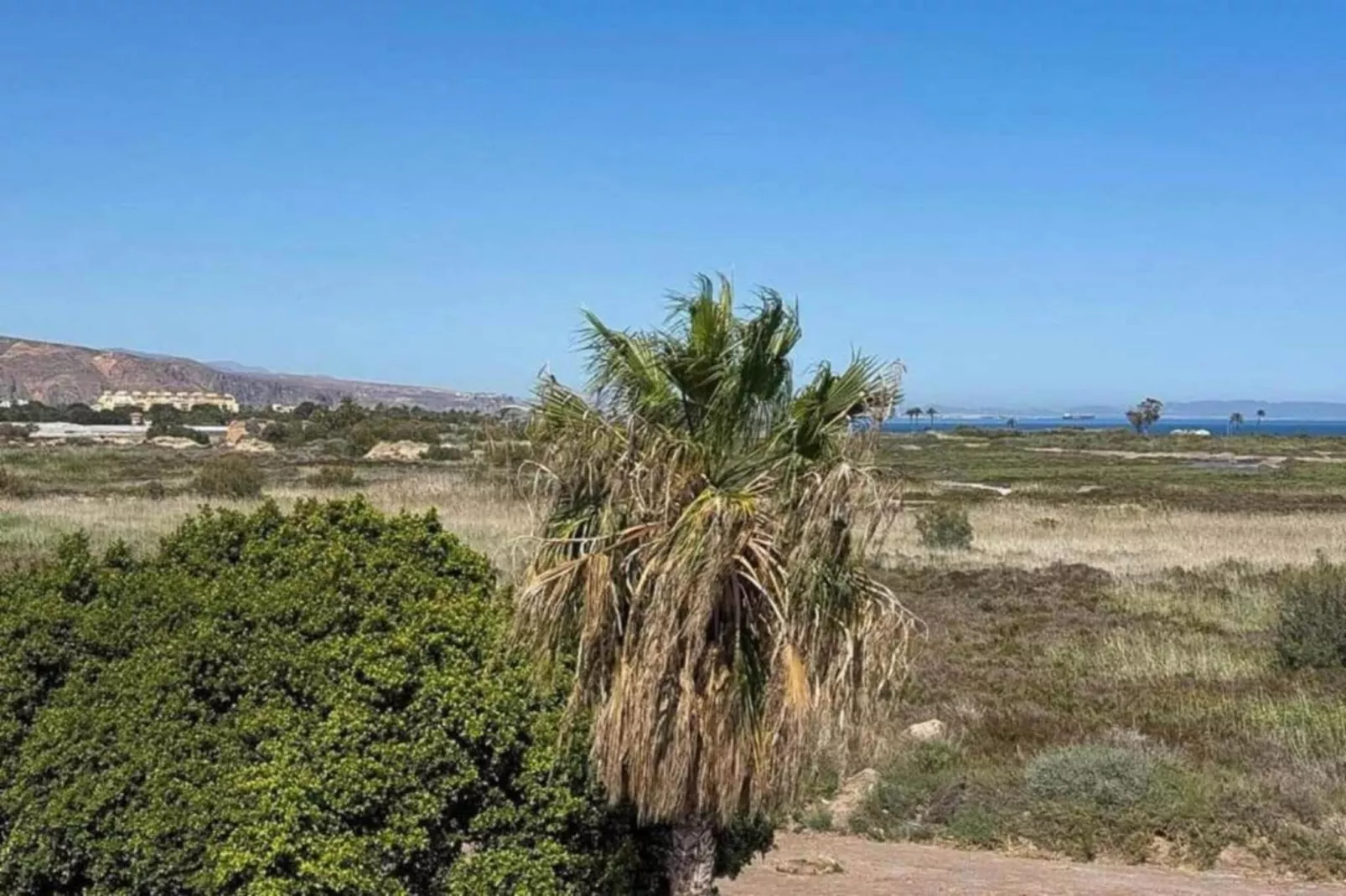 Macael Bajo 203-Areas within 5km in summer