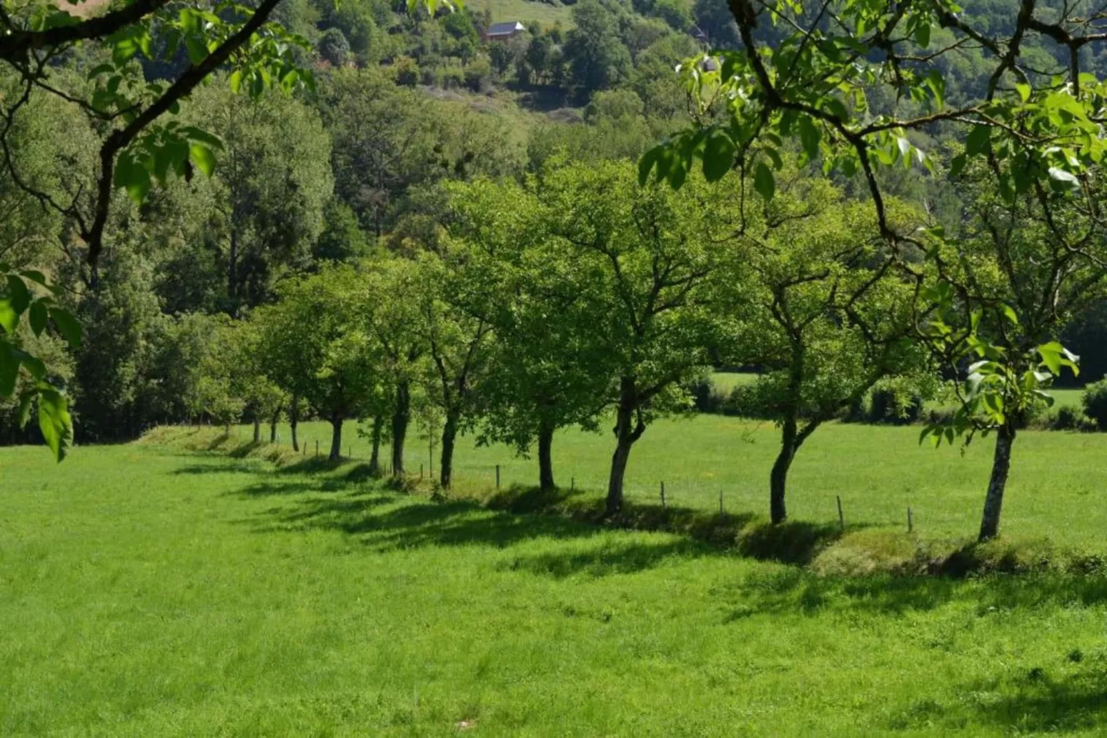 Muret-le-Château-Areas within 20km in summer