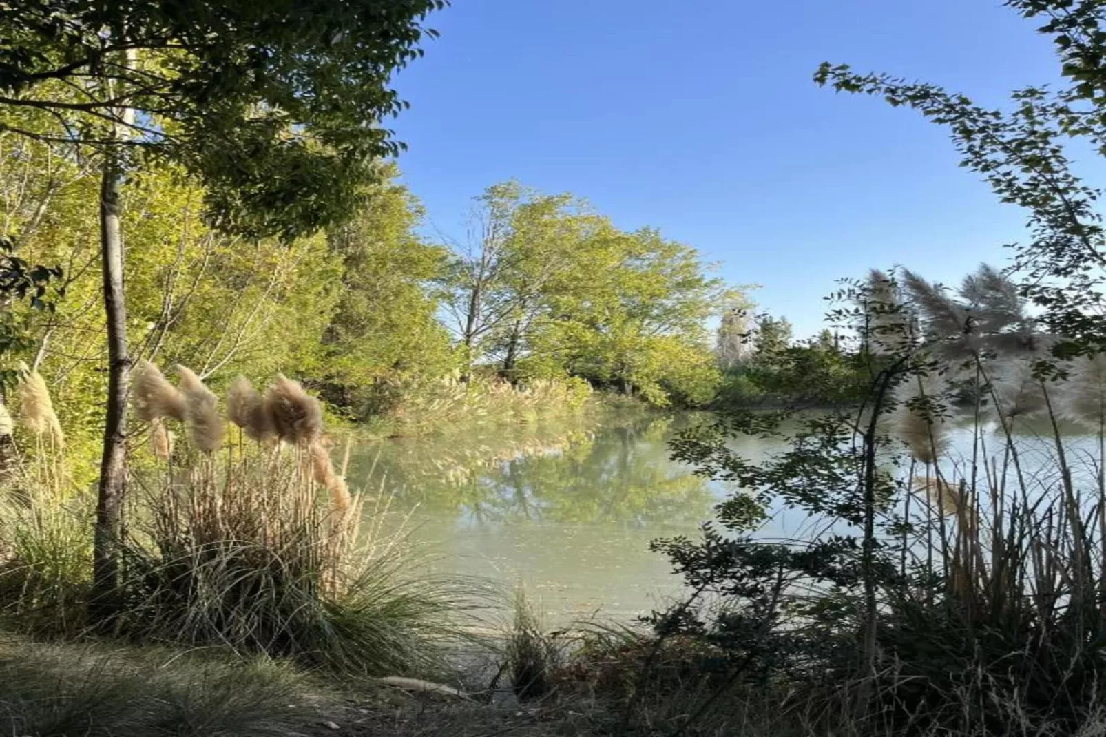 Le village Camarguais Les Gardians 1-Areas within 20km in summer