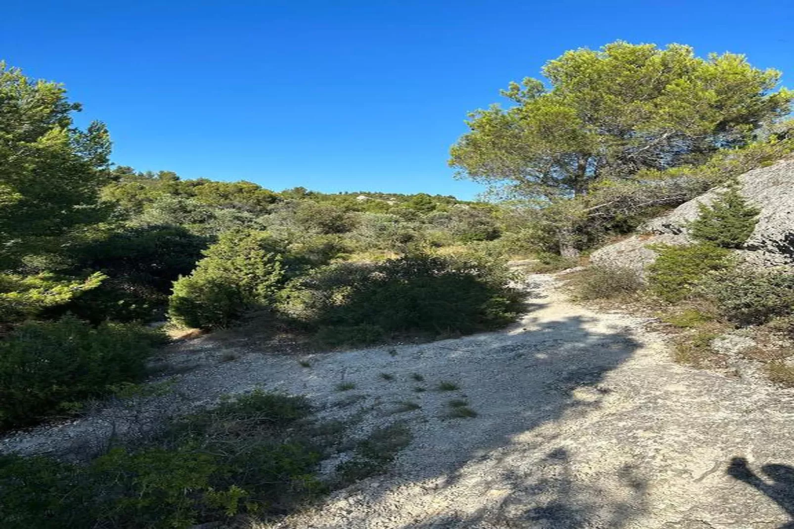 Rèsidence Le Mas des Alpilles 1-Areas within 20km in summer