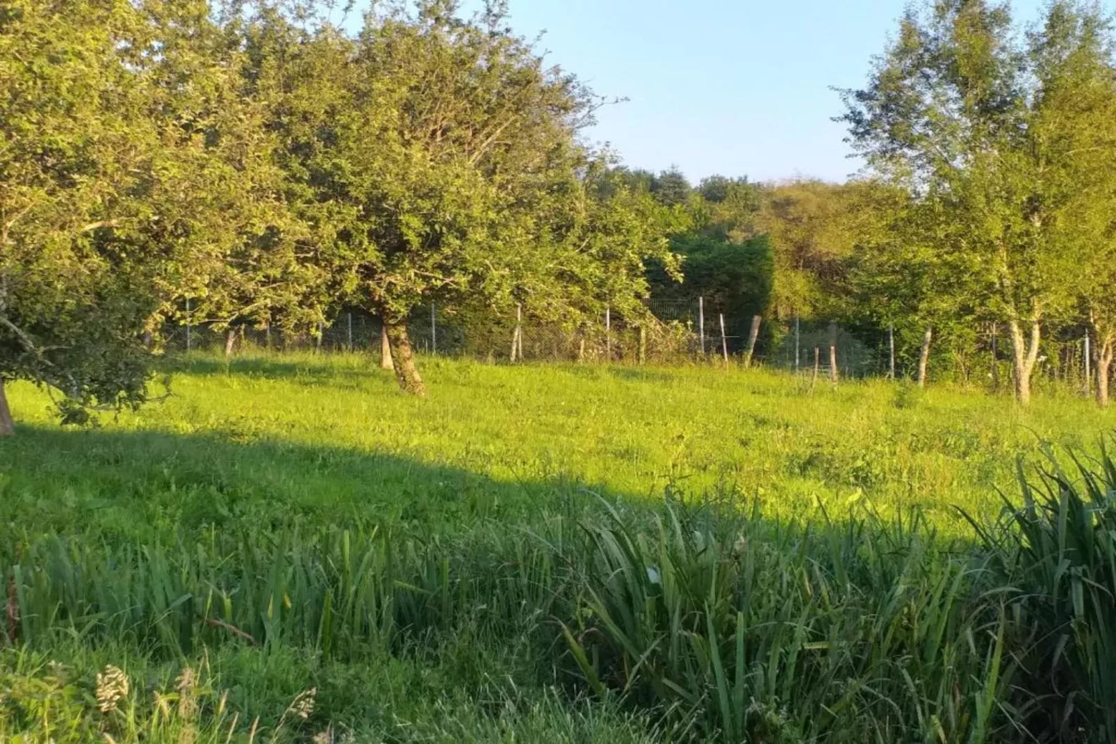 La Belle Vue-Zones été à 5 km