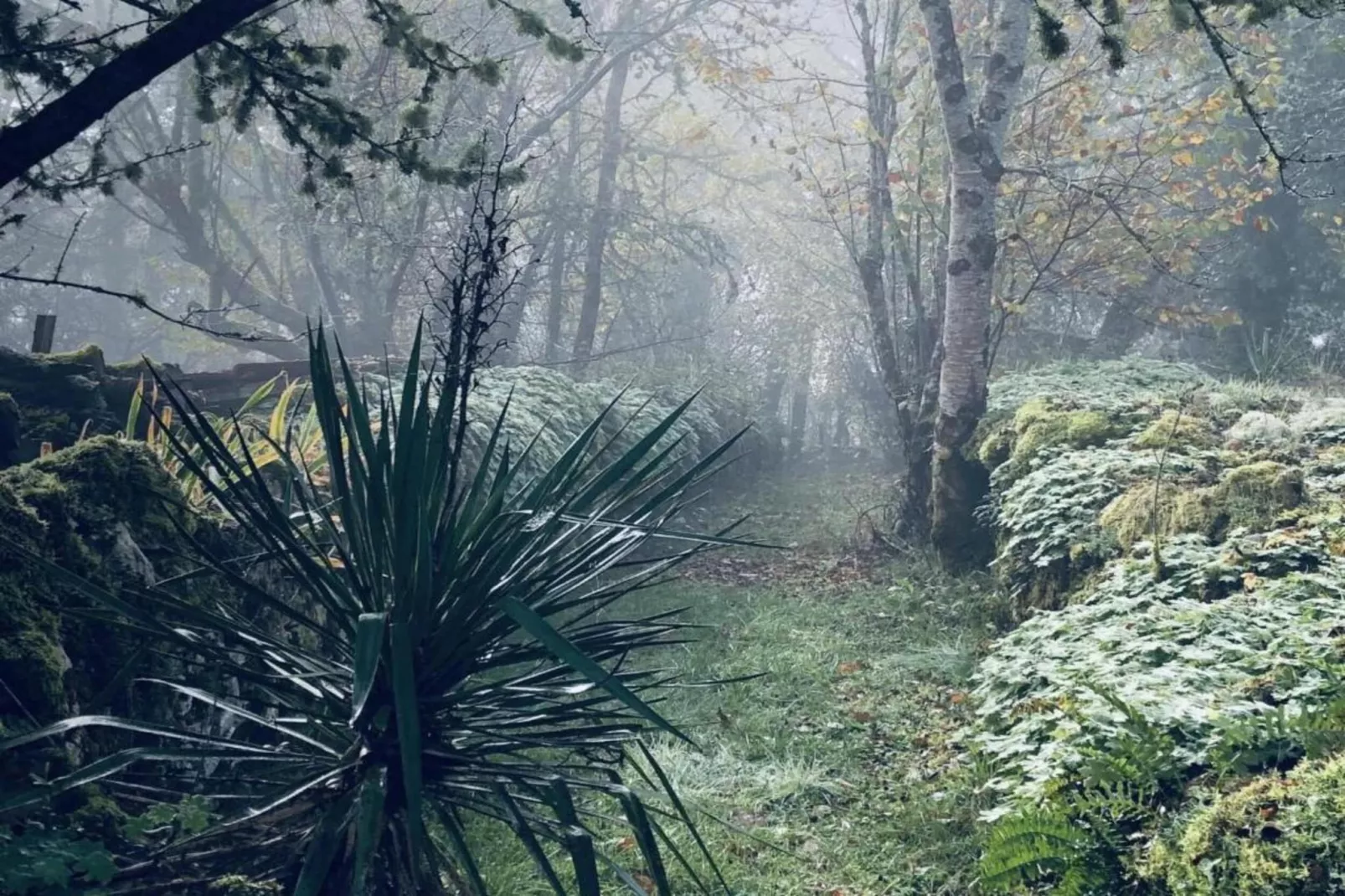 Maison de vacances - BESSE-Gebiete Sommer 20 km