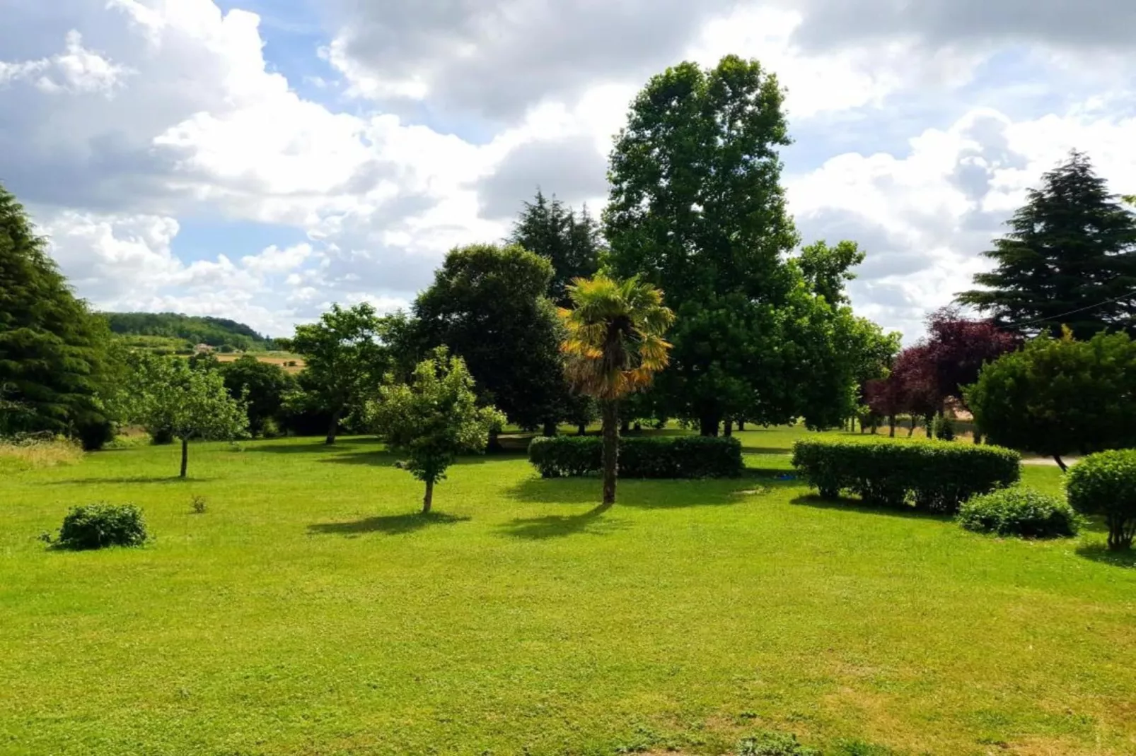 Gîte du Château-Areas within 5km in summer