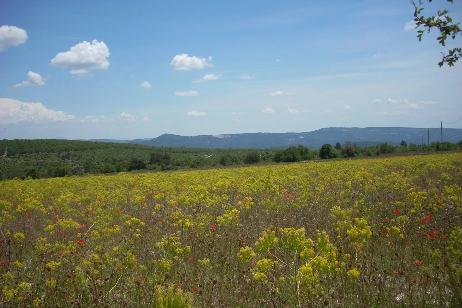 Au château près du Ventoux III-Areas within 20km in summer