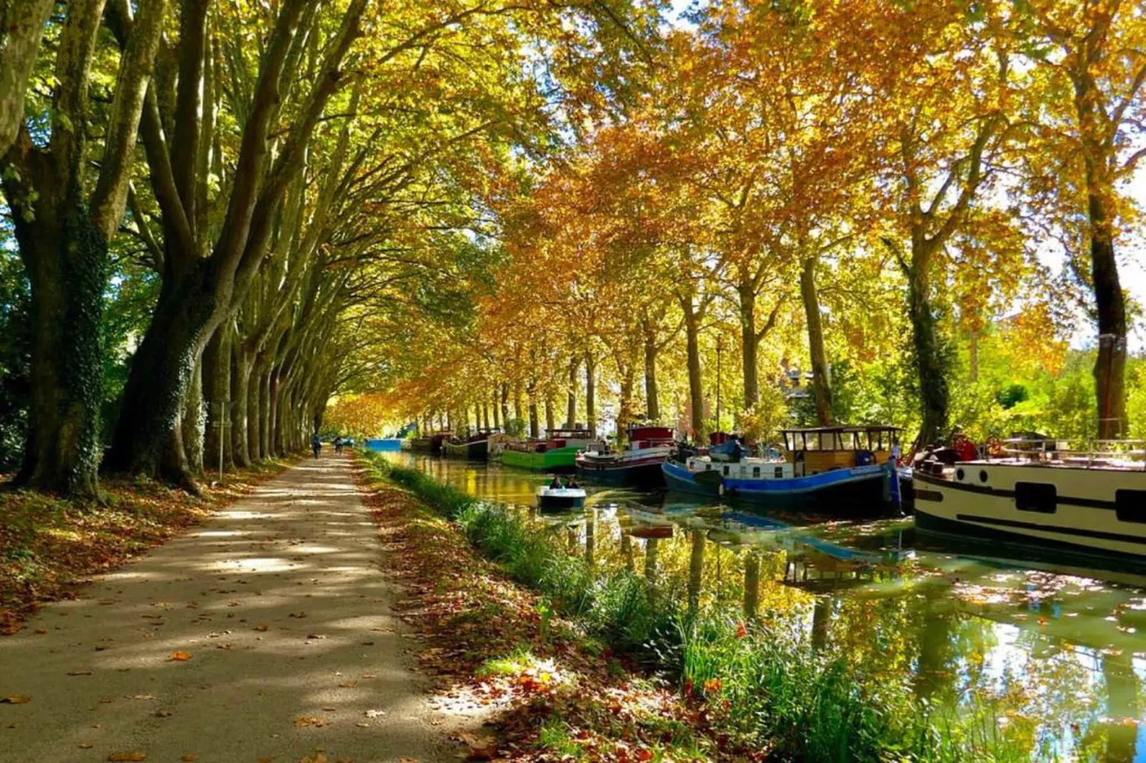 Le Domaine d'Enserune 1-Areas within 20km in summer