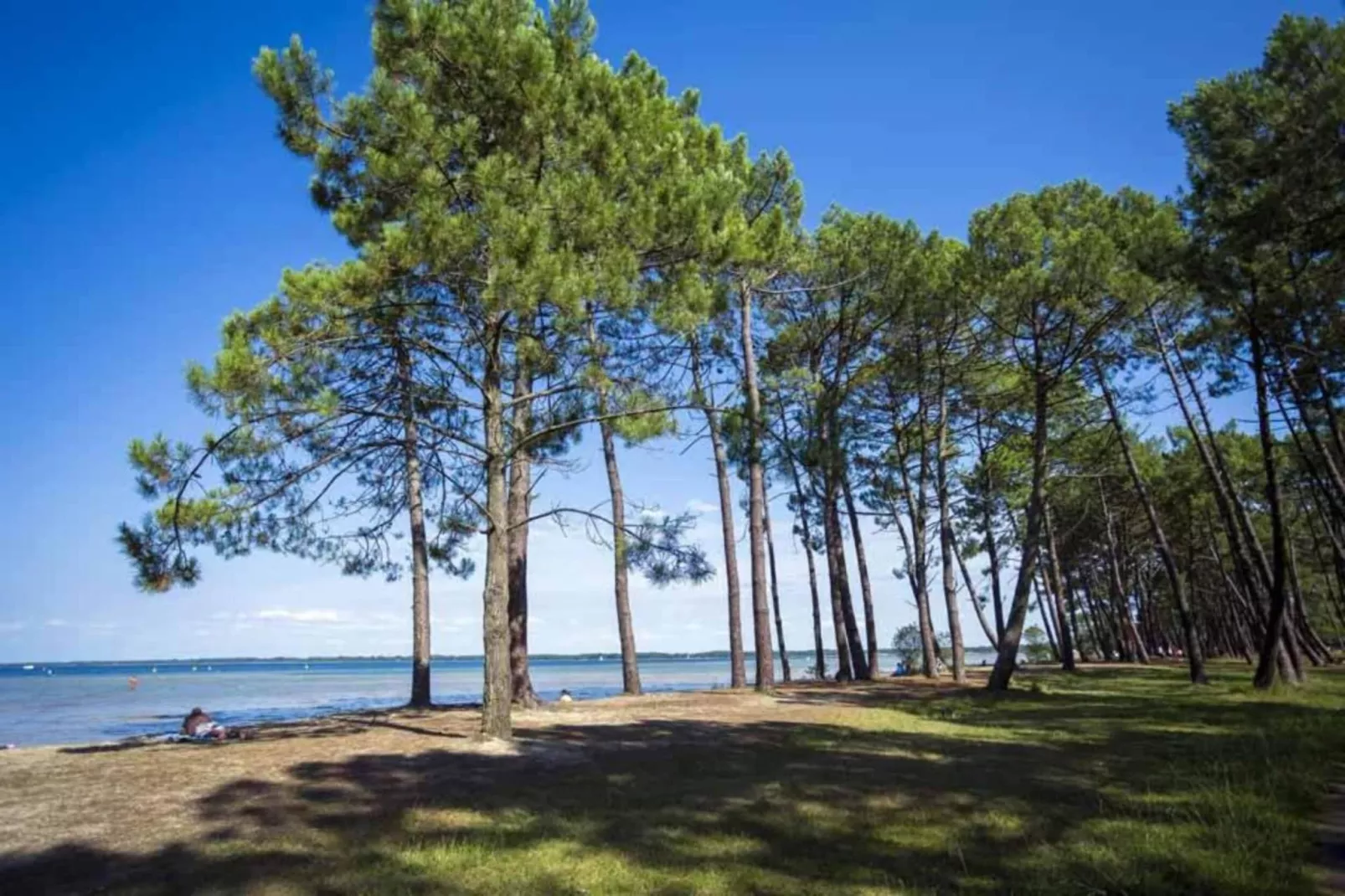 Le Domaine des Grands Lacs 1-Zones été à 5 km