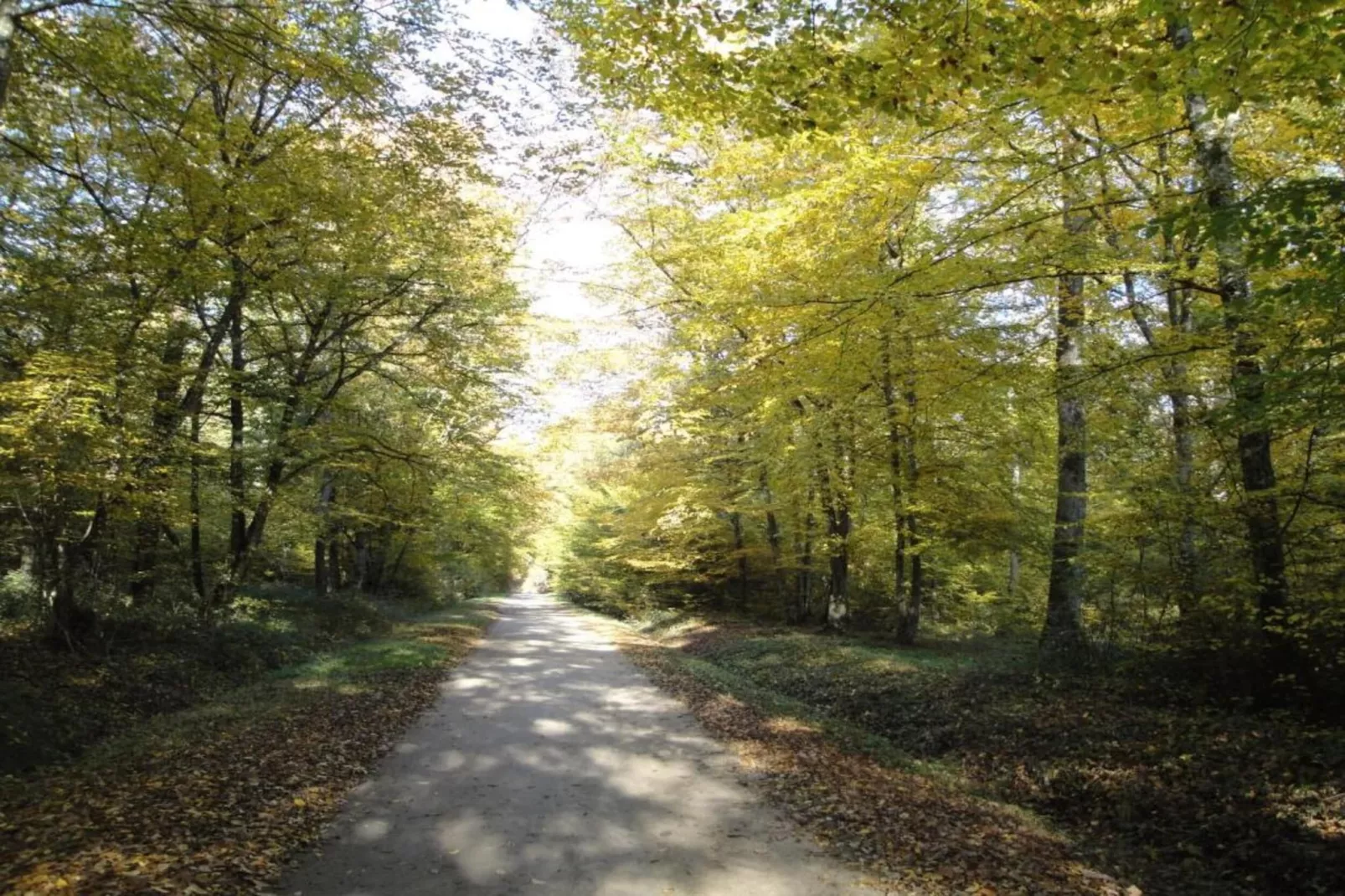 Maison de vacances - CHILLEURS-AUX-BOIS-Areas within 20km in summer