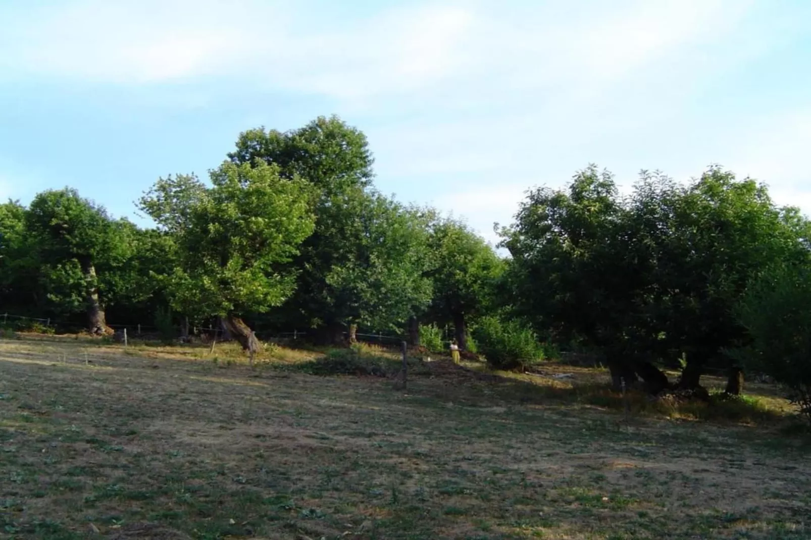 La Chataigne-Gebiete Sommer 5 km