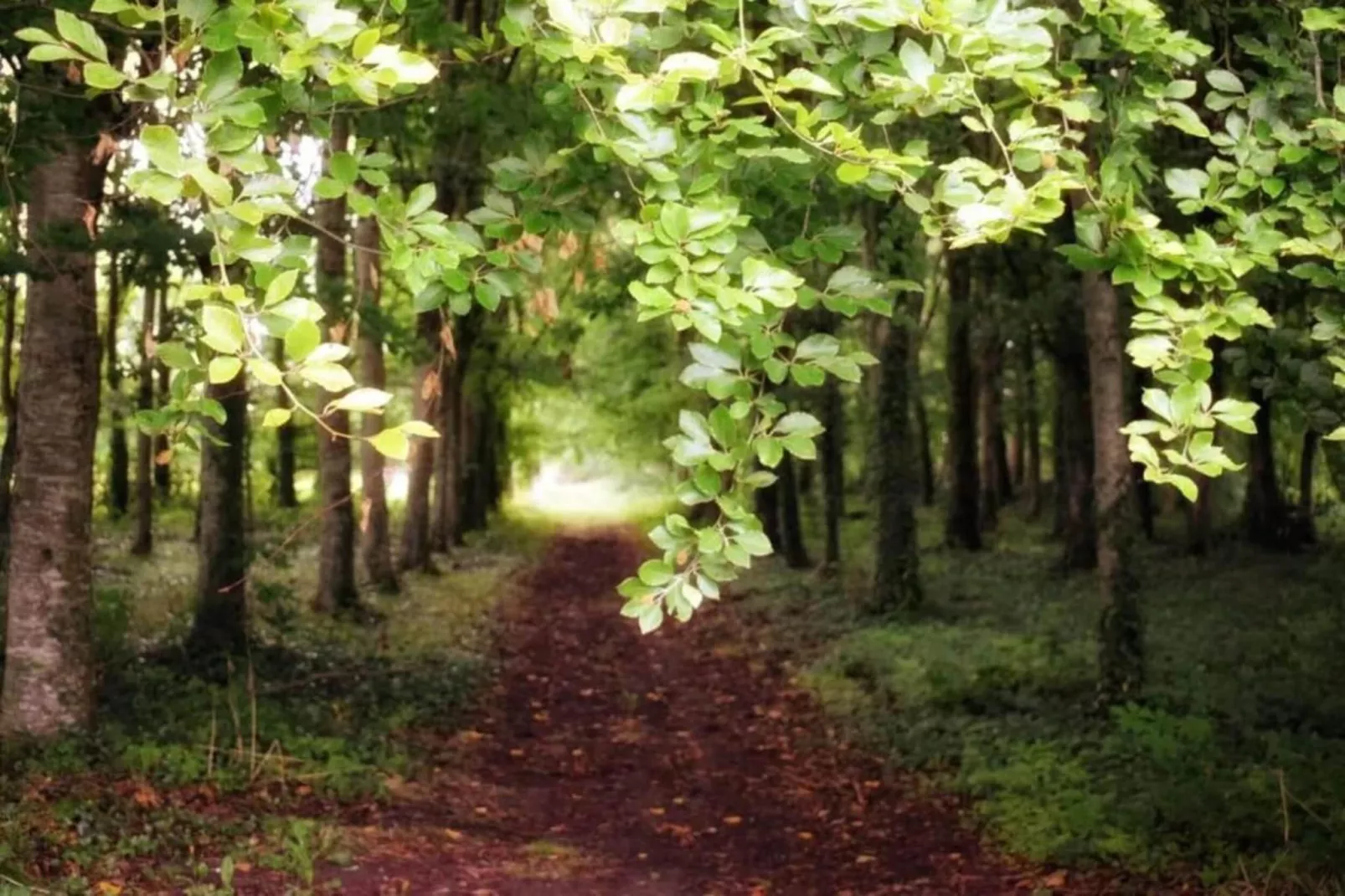 Heslonniere-Areas within 20km in summer