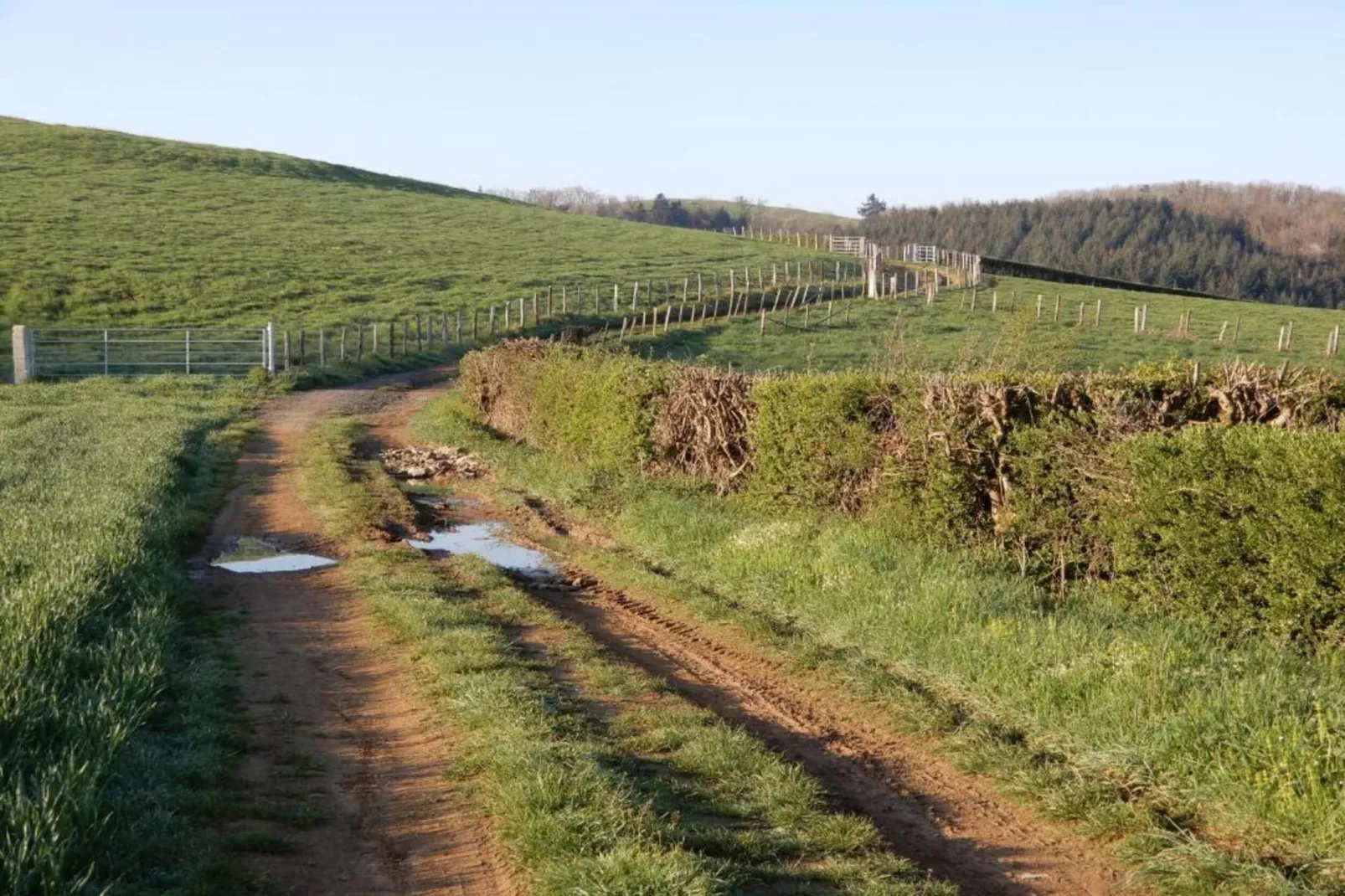 Gîte romantique-Zones été à 20 km
