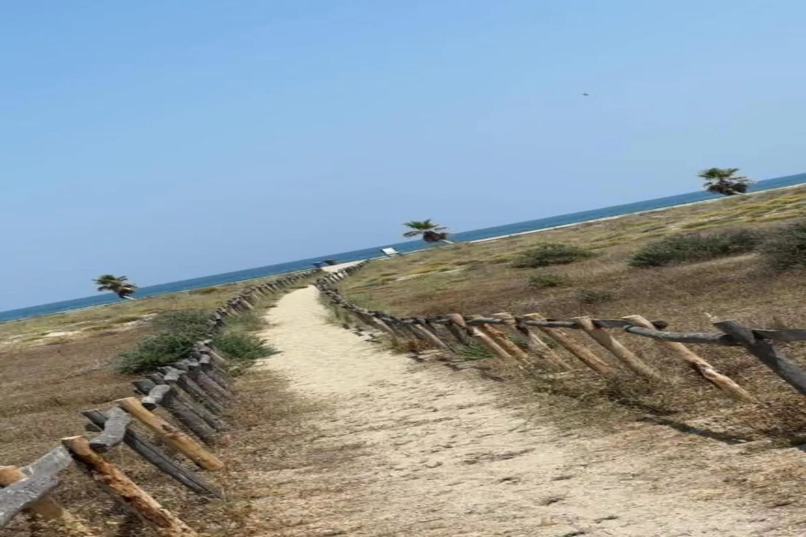 Mas de Torreilles 2-Gebiete Sommer 20 km