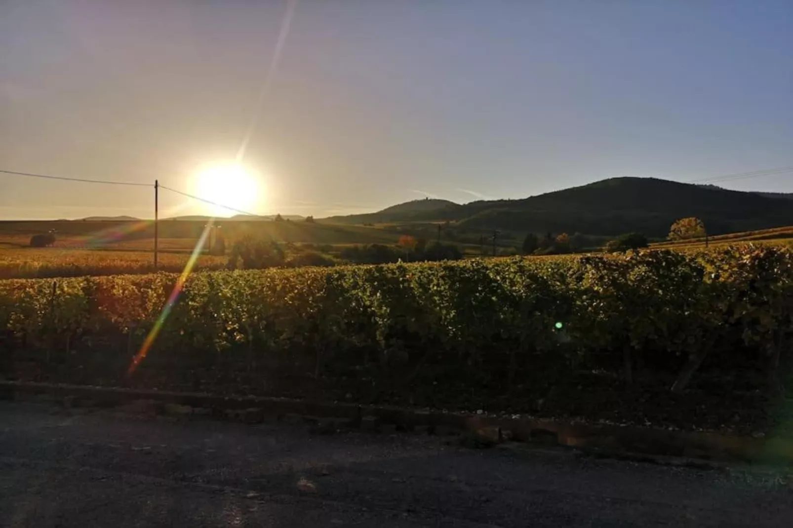 Le Domaine des Rois 1-Areas within 5km in summer
