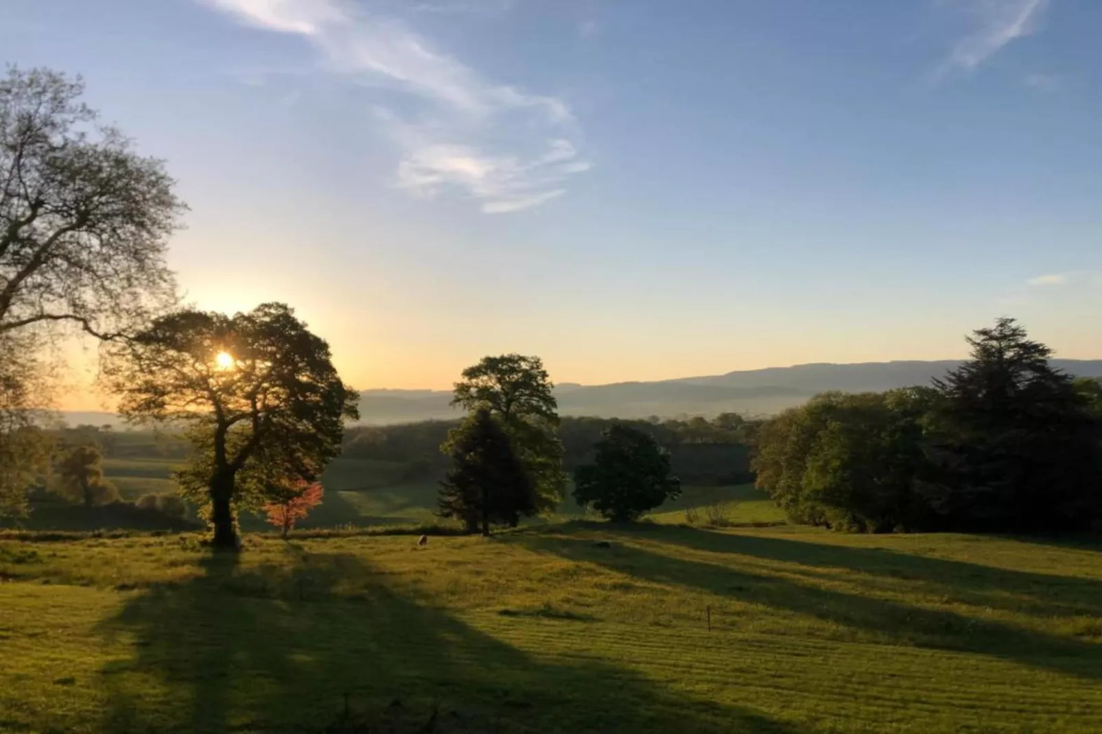 Gite 6 pers Bellevue - Le-Chardonneret-Zones été à 20 km