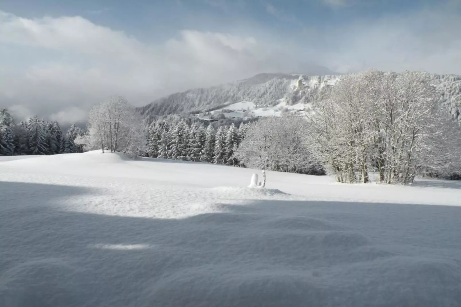 Résidence Les Belles Roches 1-Gebiet Winter 20 km