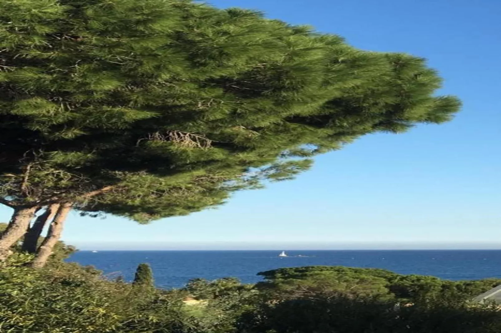 Residence Port Marine 3-Areas within 20km in summer