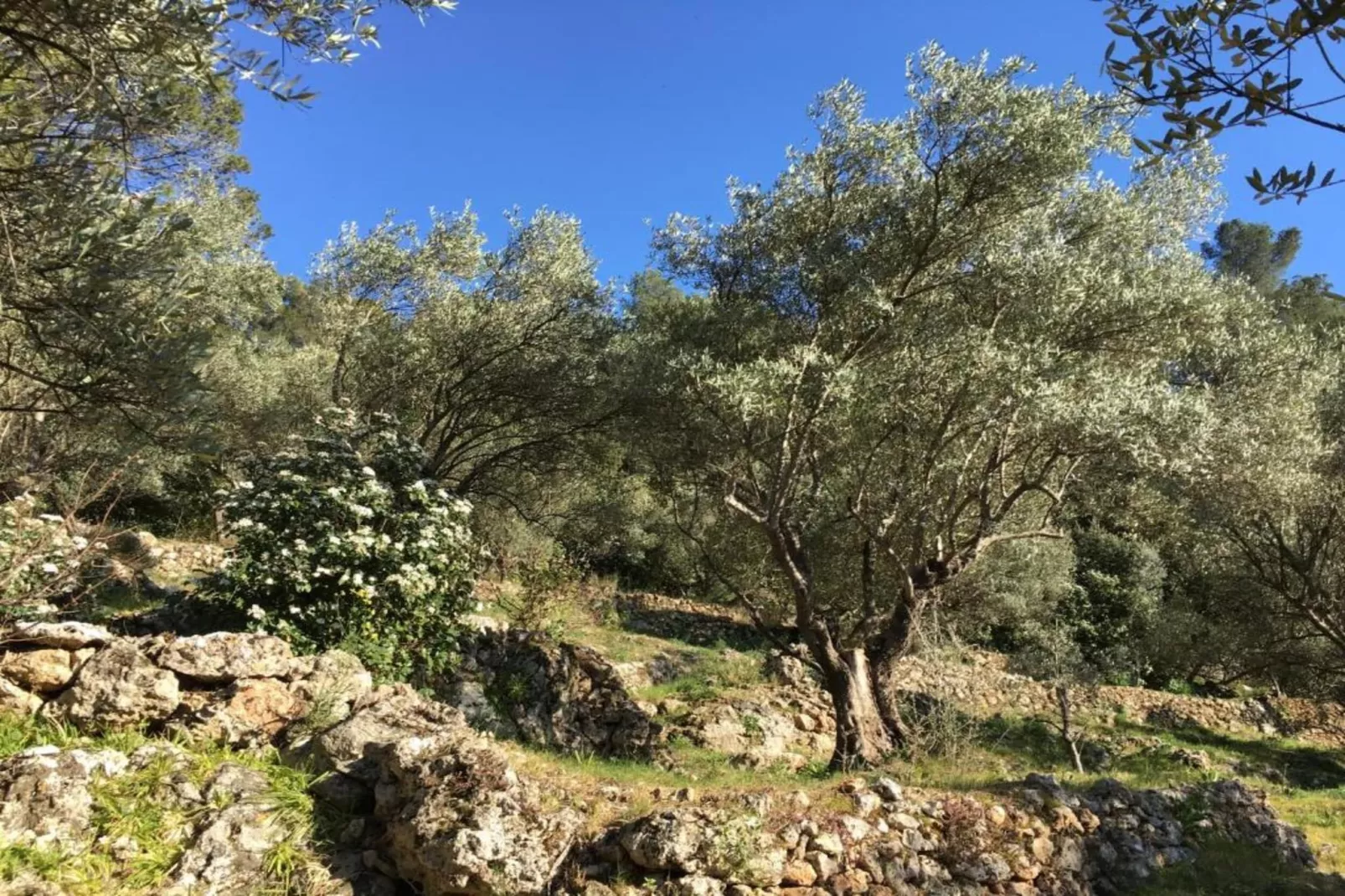 Le Domaine de l´Eilen 4-Areas within 20km in summer