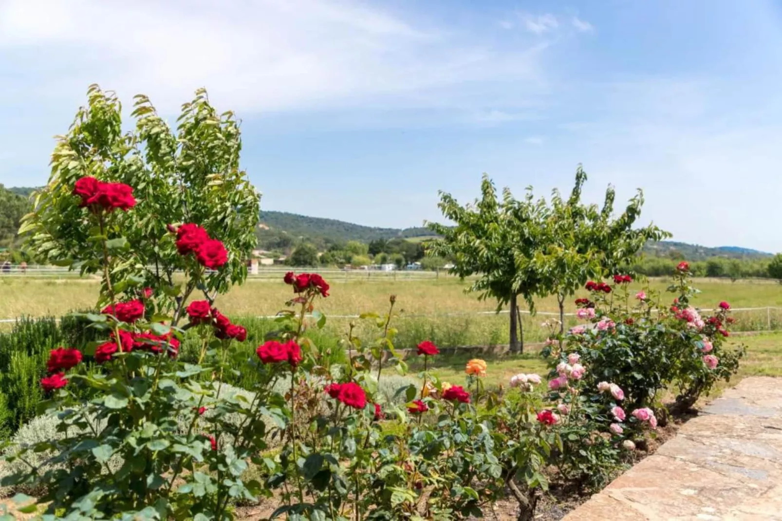 La Palmeraie 4-Areas within 5km in summer